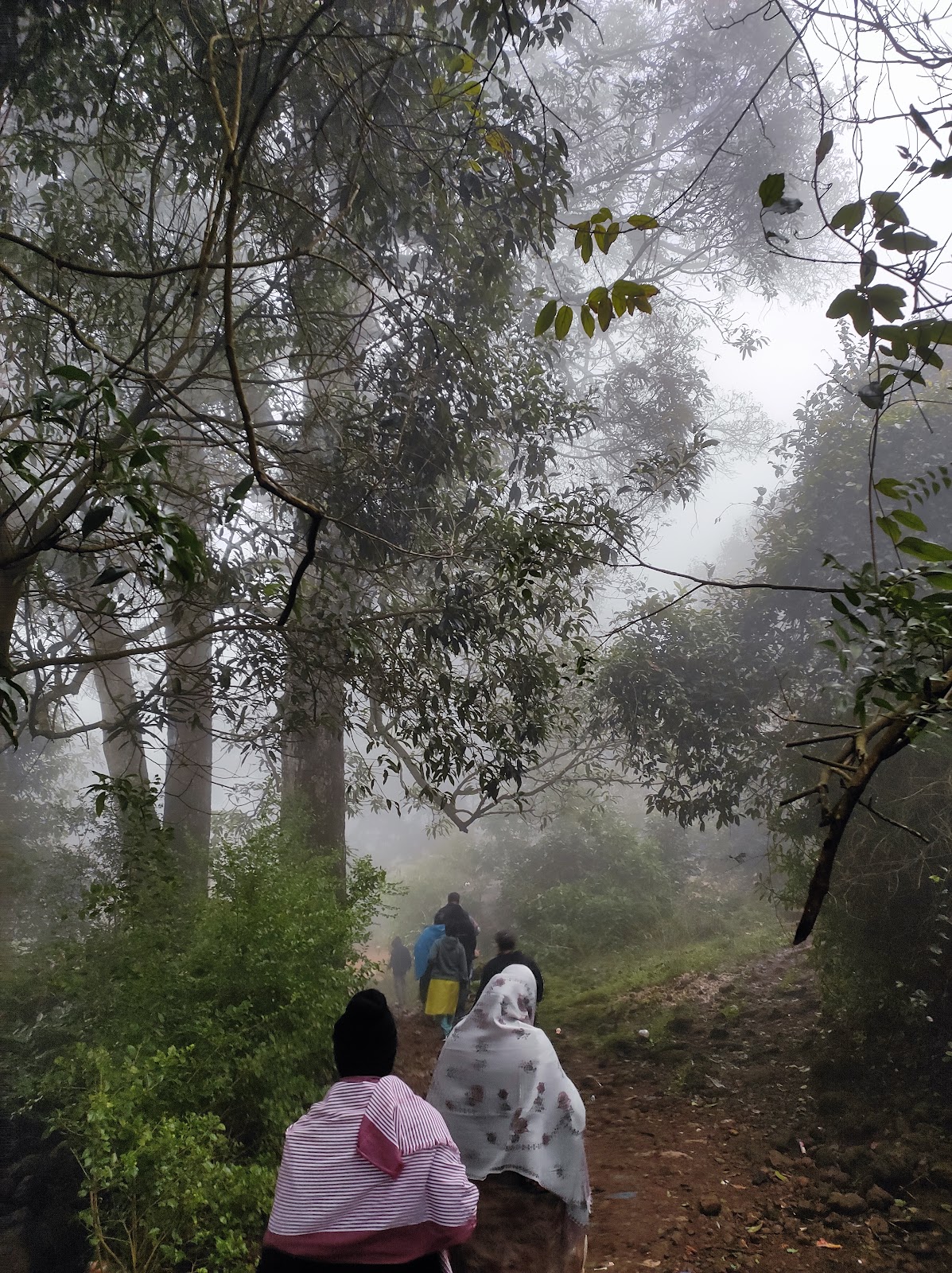 Misty Hills Viewpoint