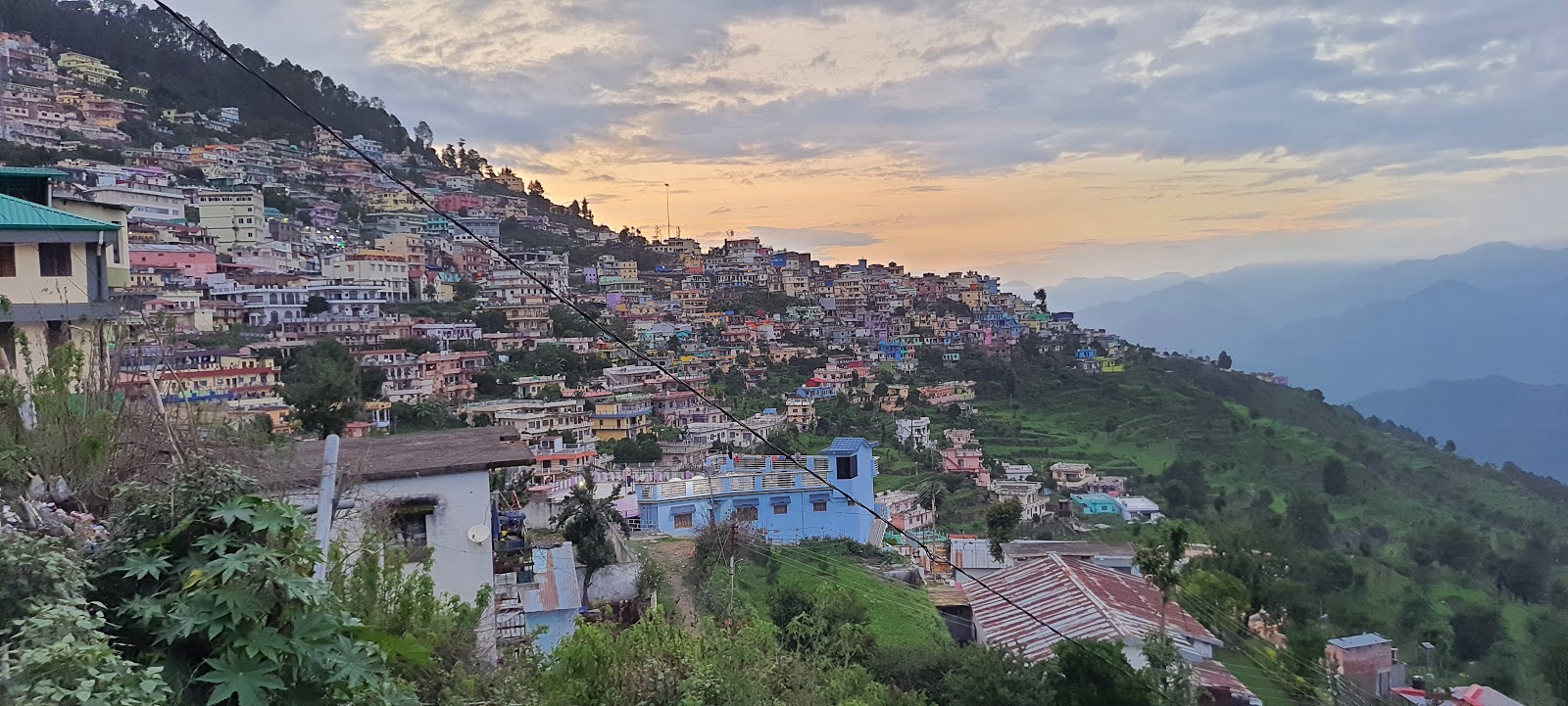 Pauri