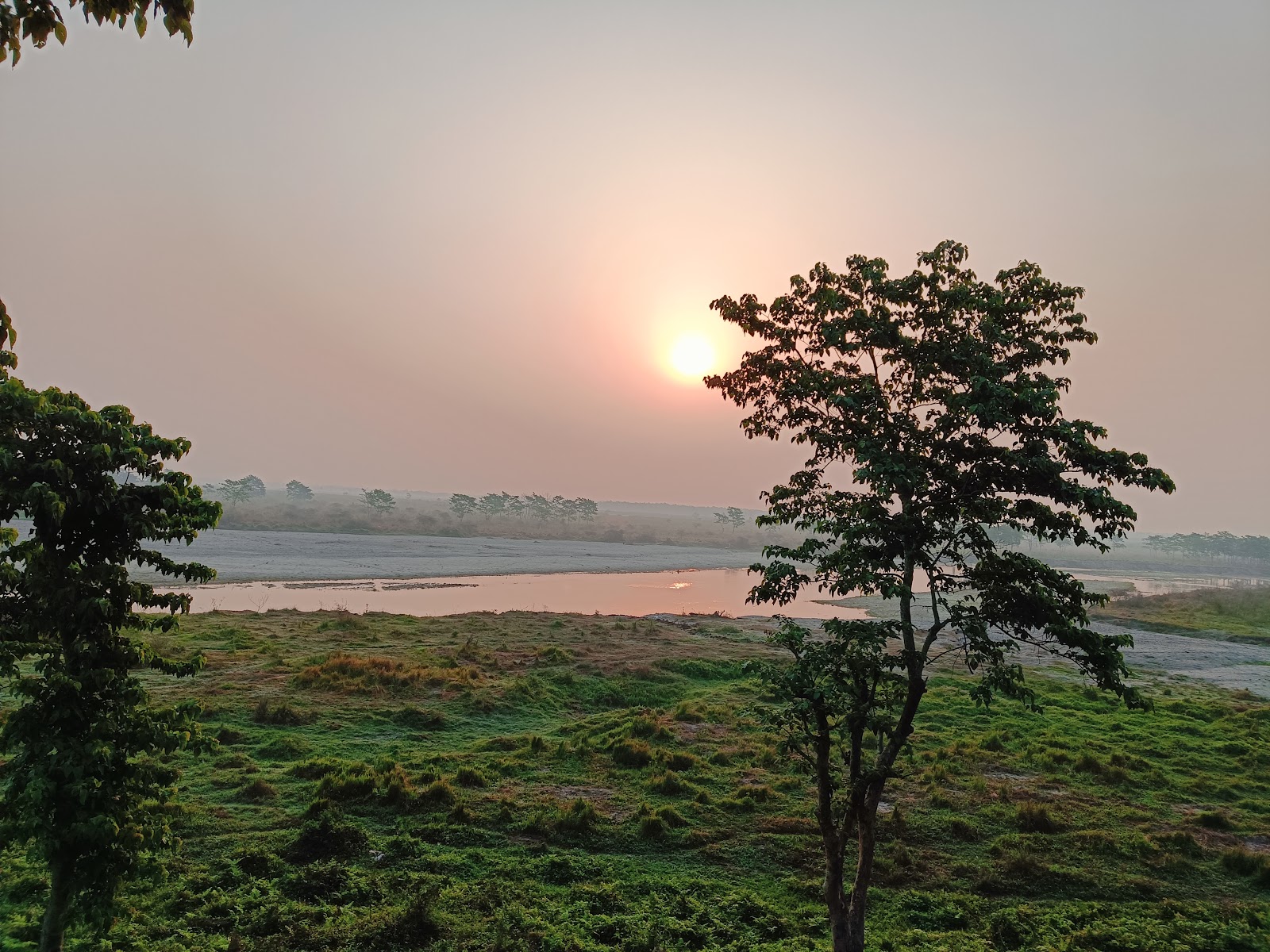 Gorumara National Park