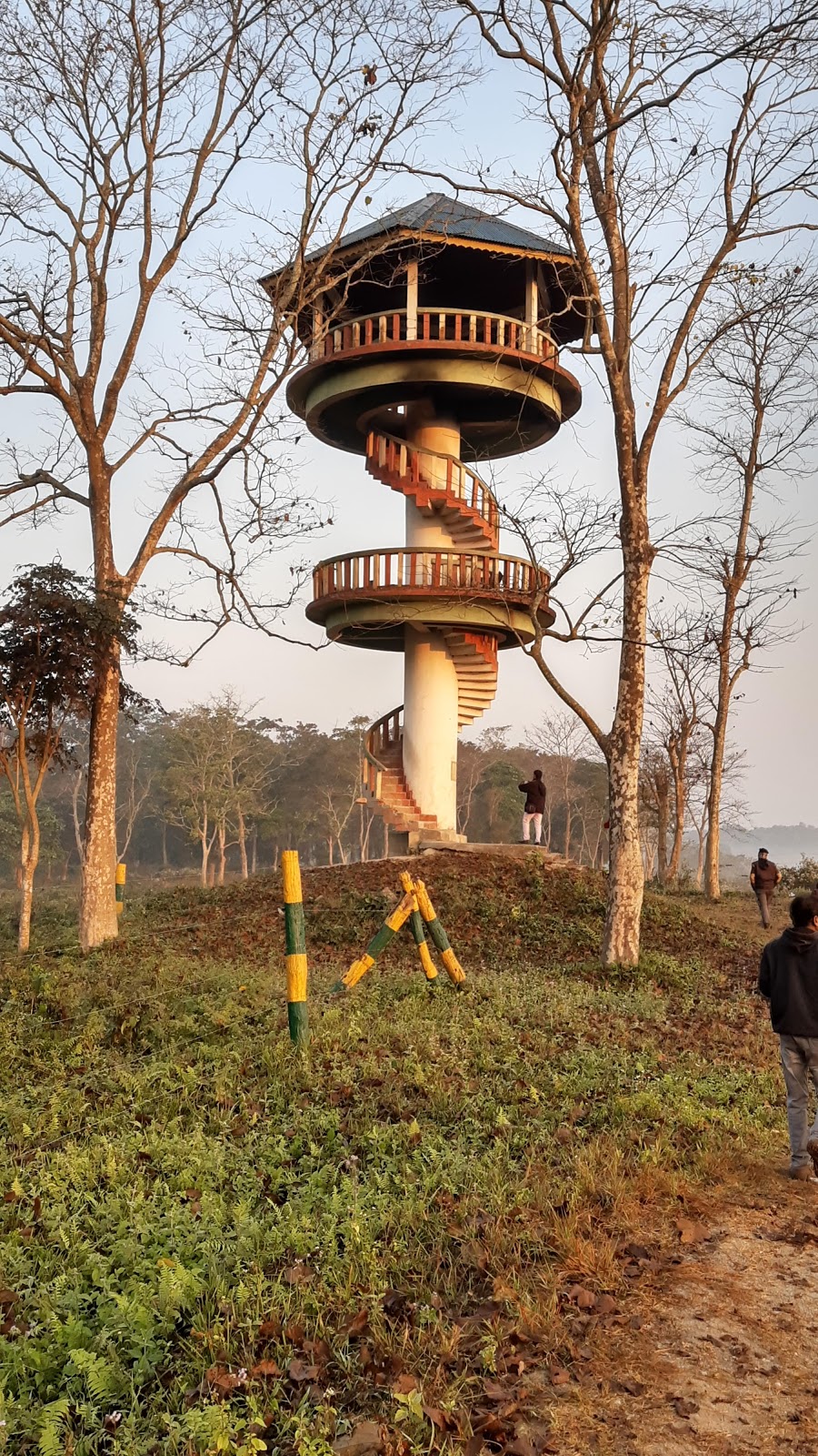 Gorumara National Park