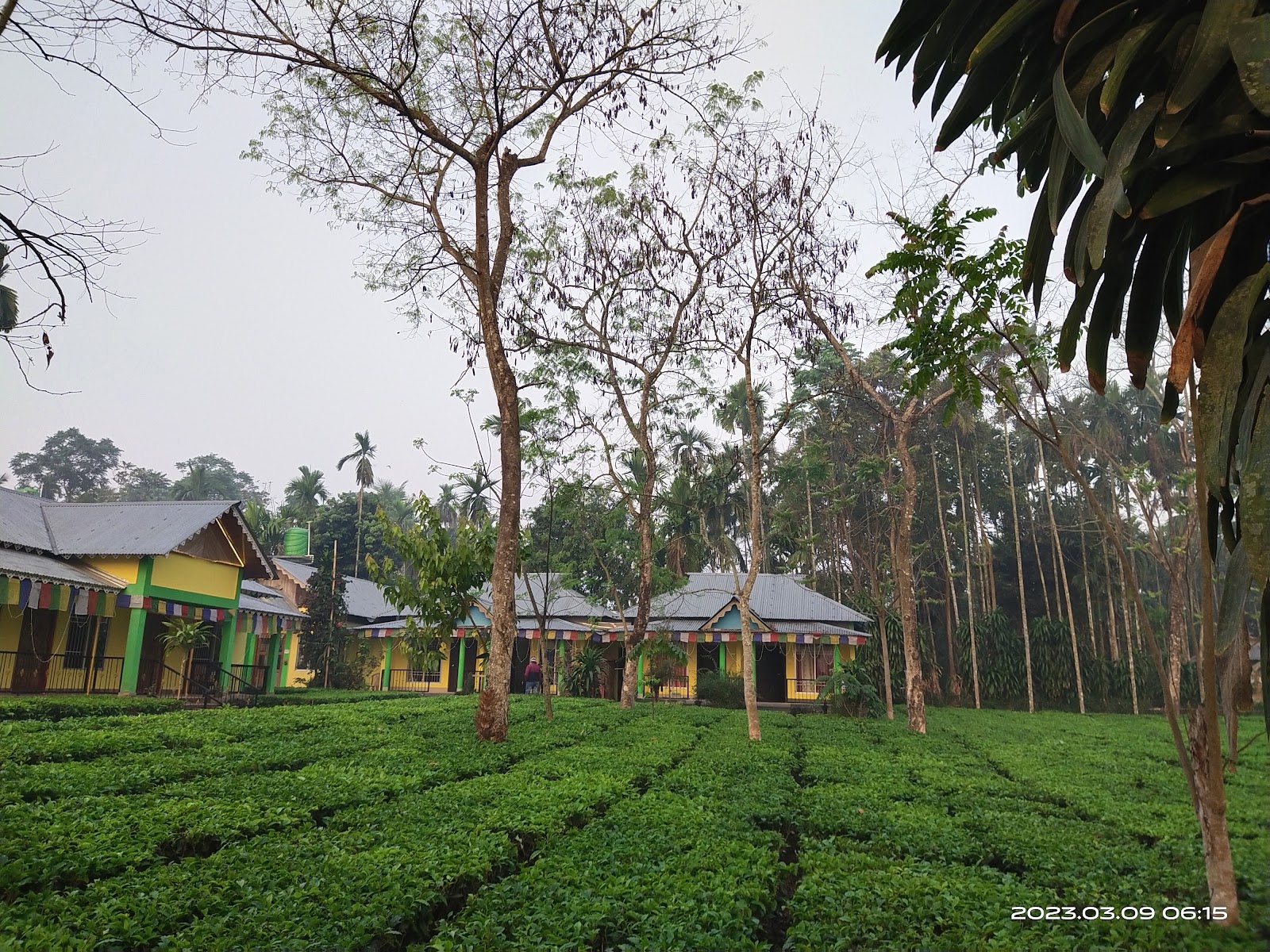 Gorumara National Park
