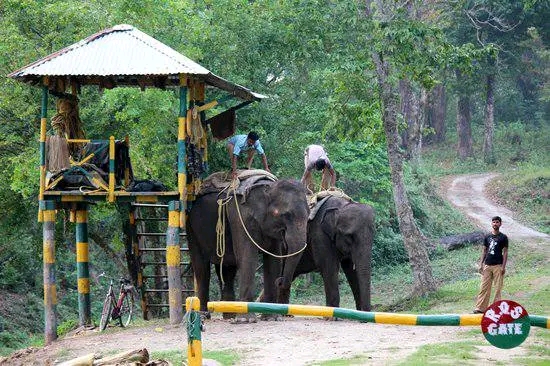 Gorumara National Park