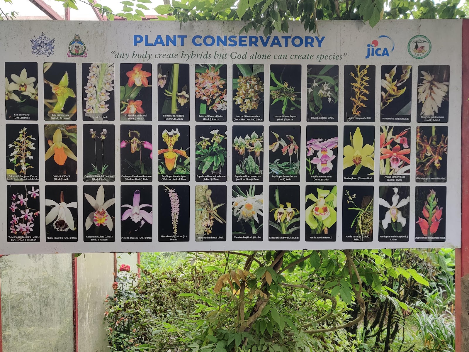 Sikkim Himalayan Zoological Park