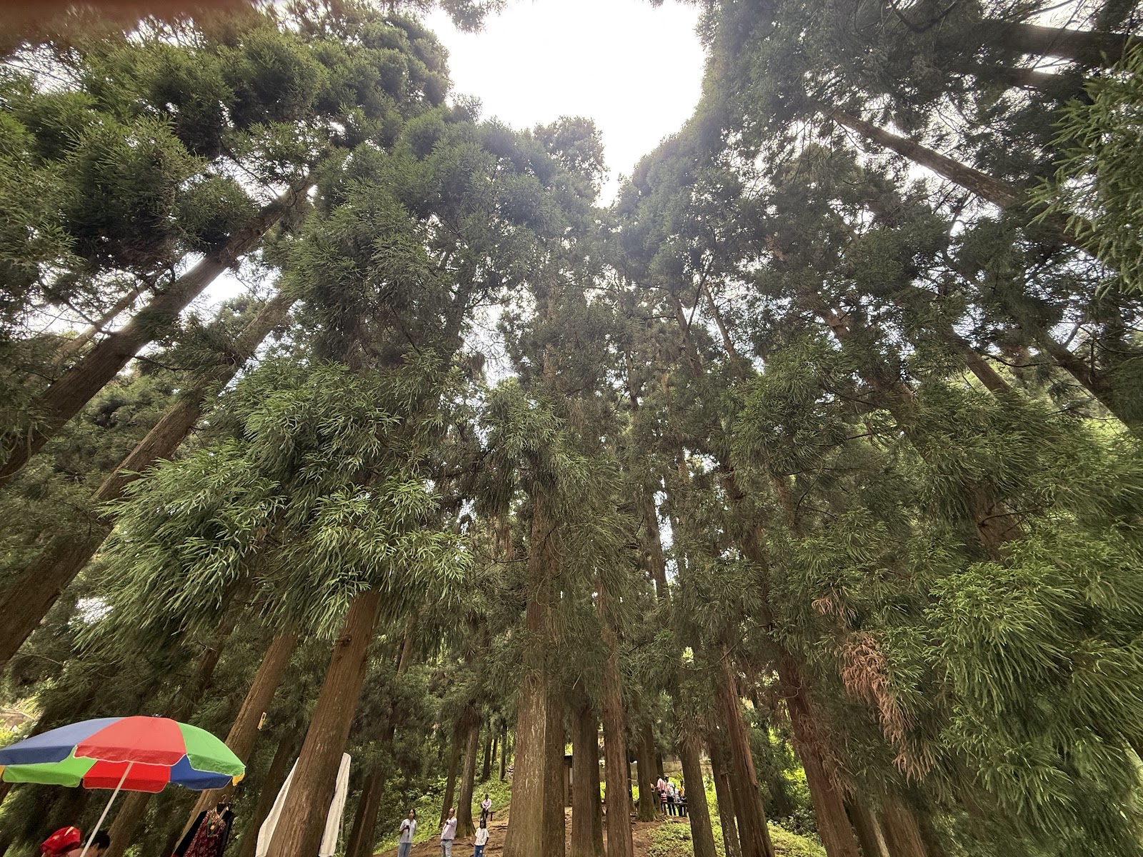 Mirik Lake