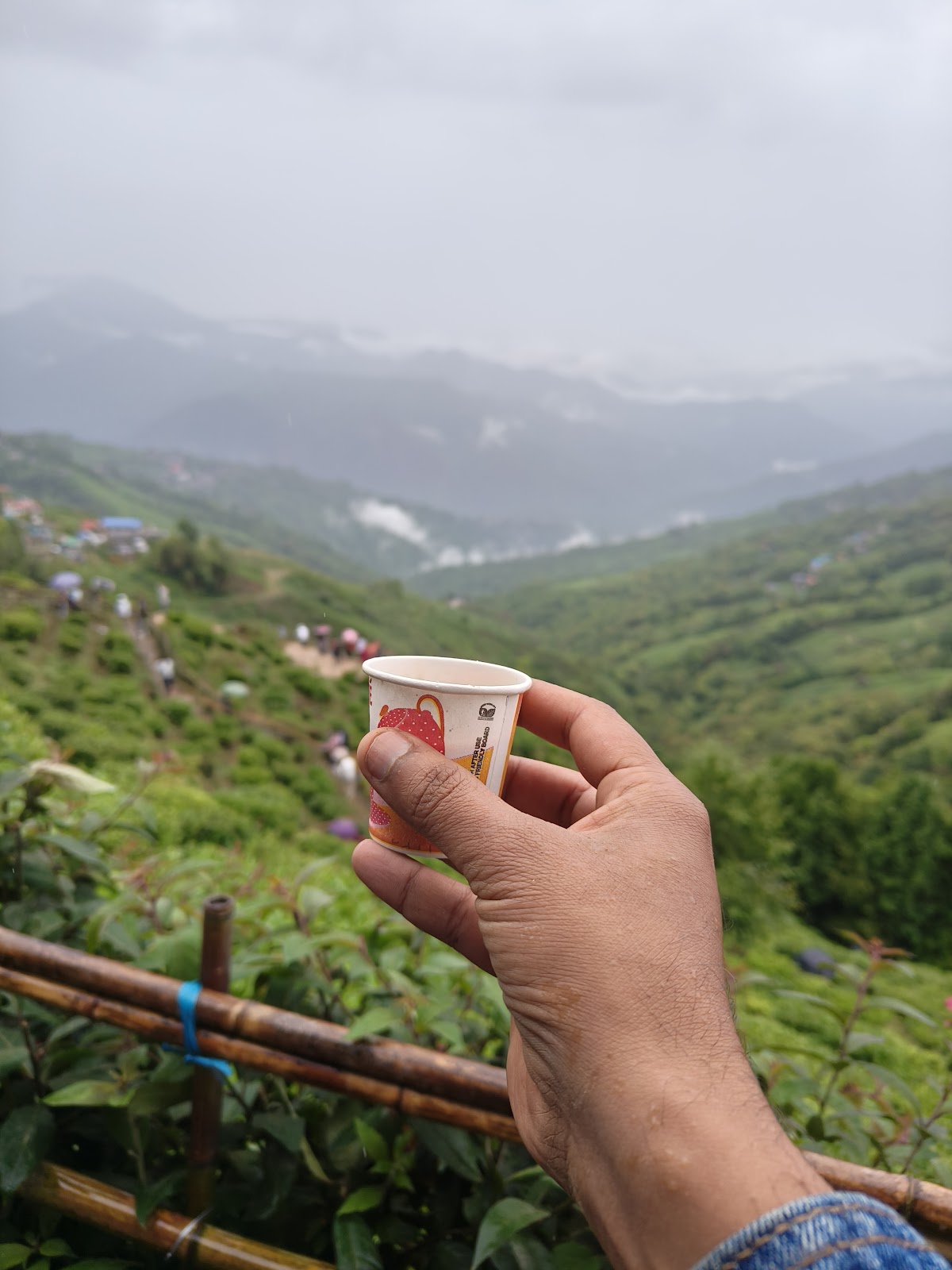 Tea Gardens