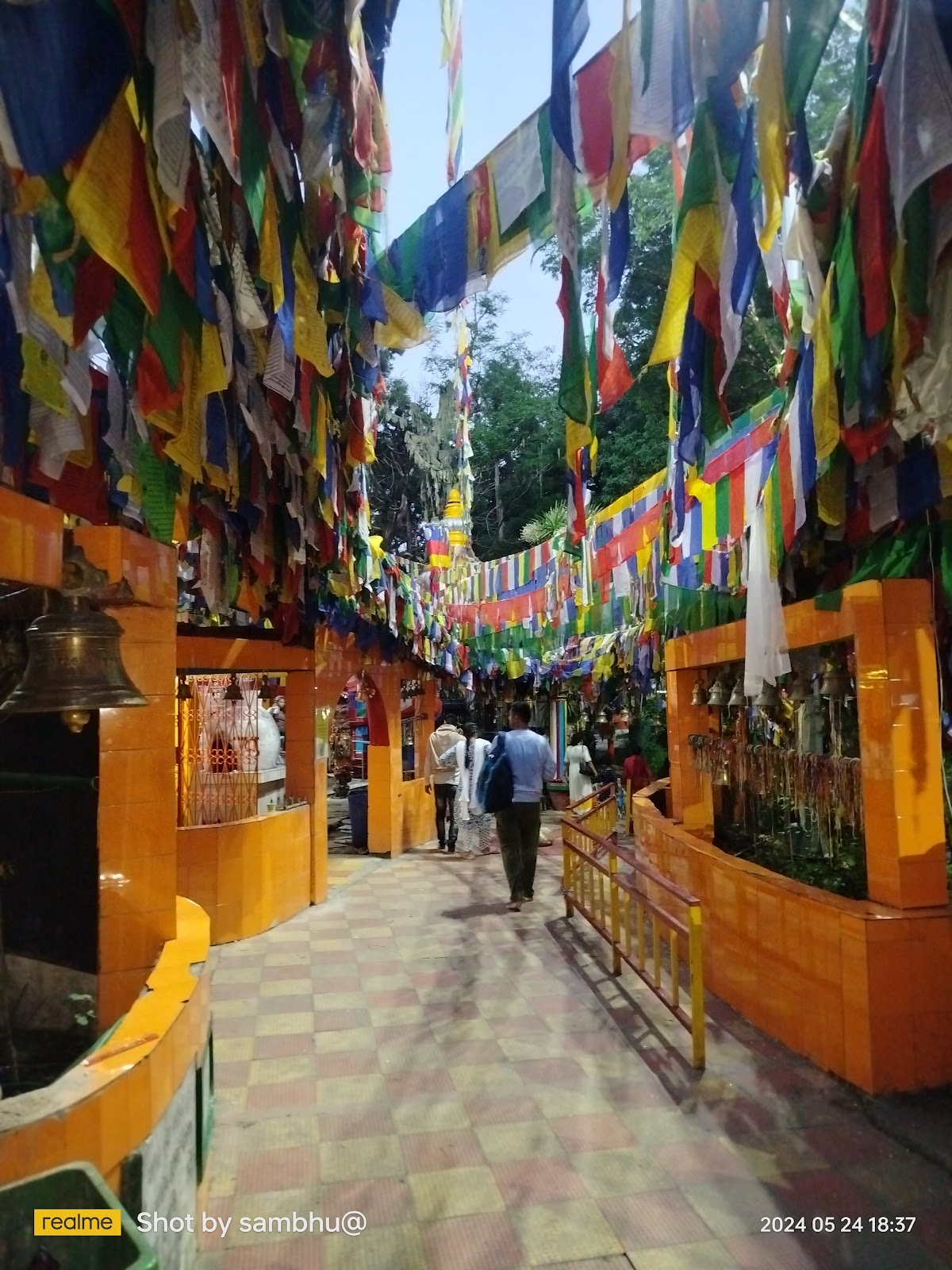 Tiger Hill