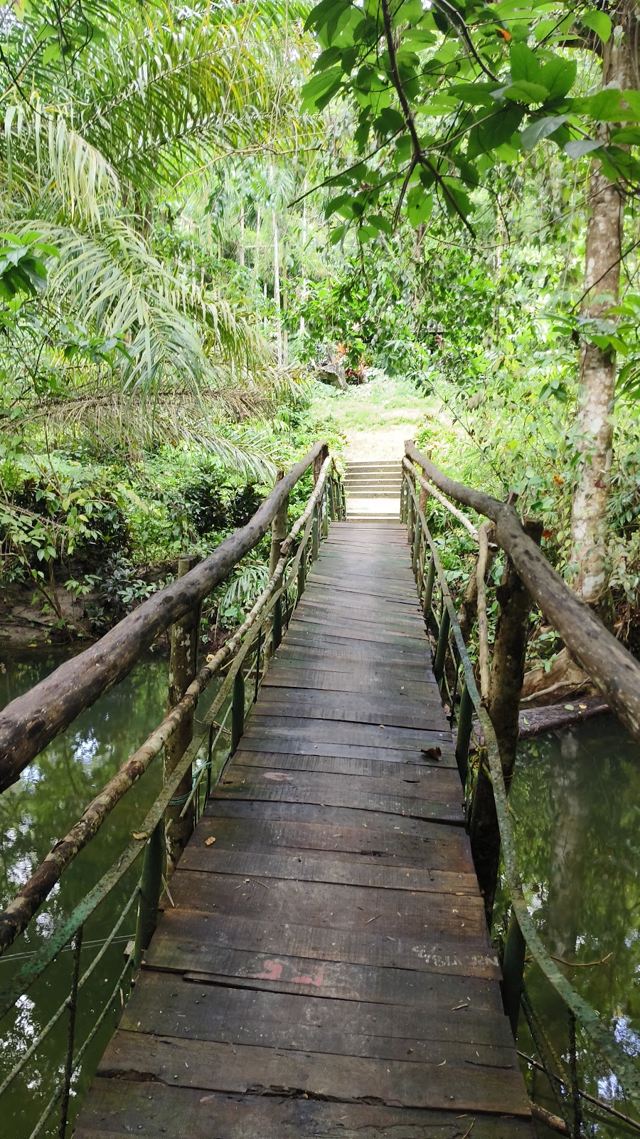 White Surf Surf Break