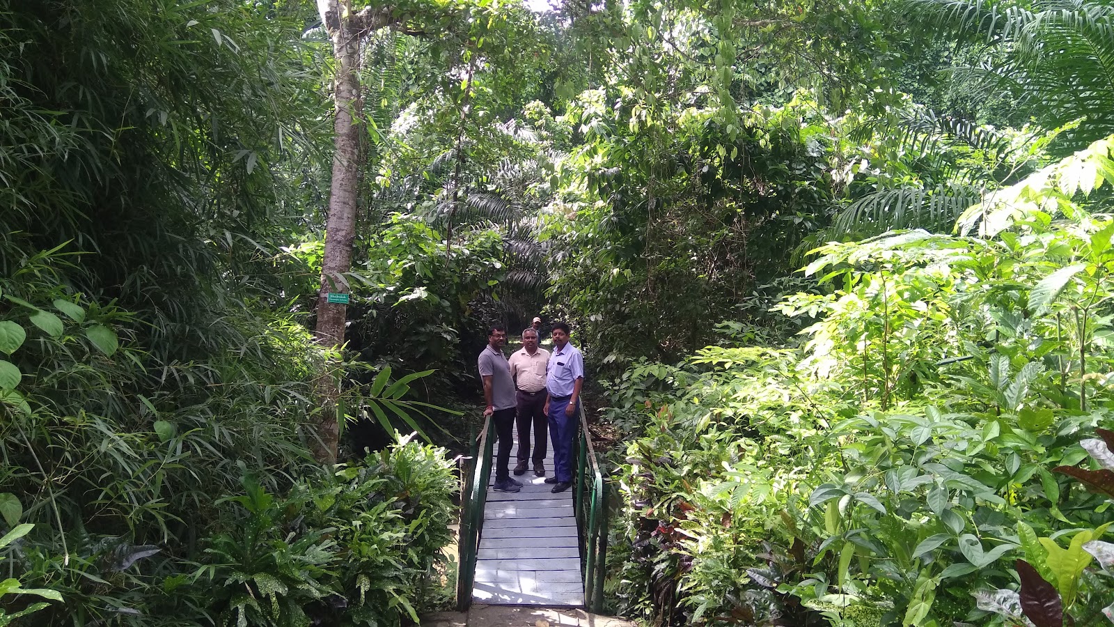 White Surf Surf Break