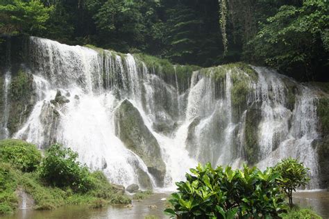 Little Andaman Forest