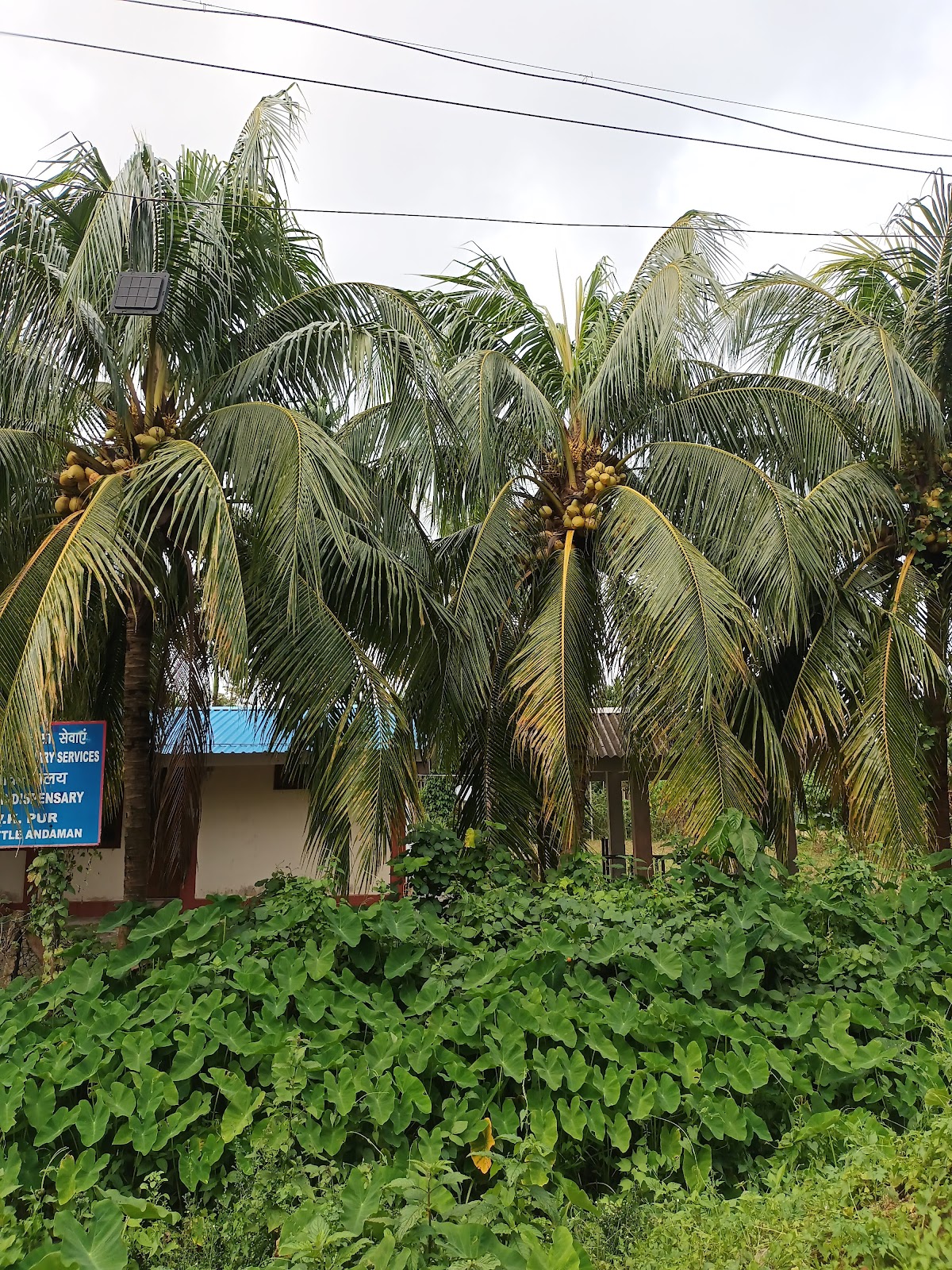 Whisper Wave Waterfall