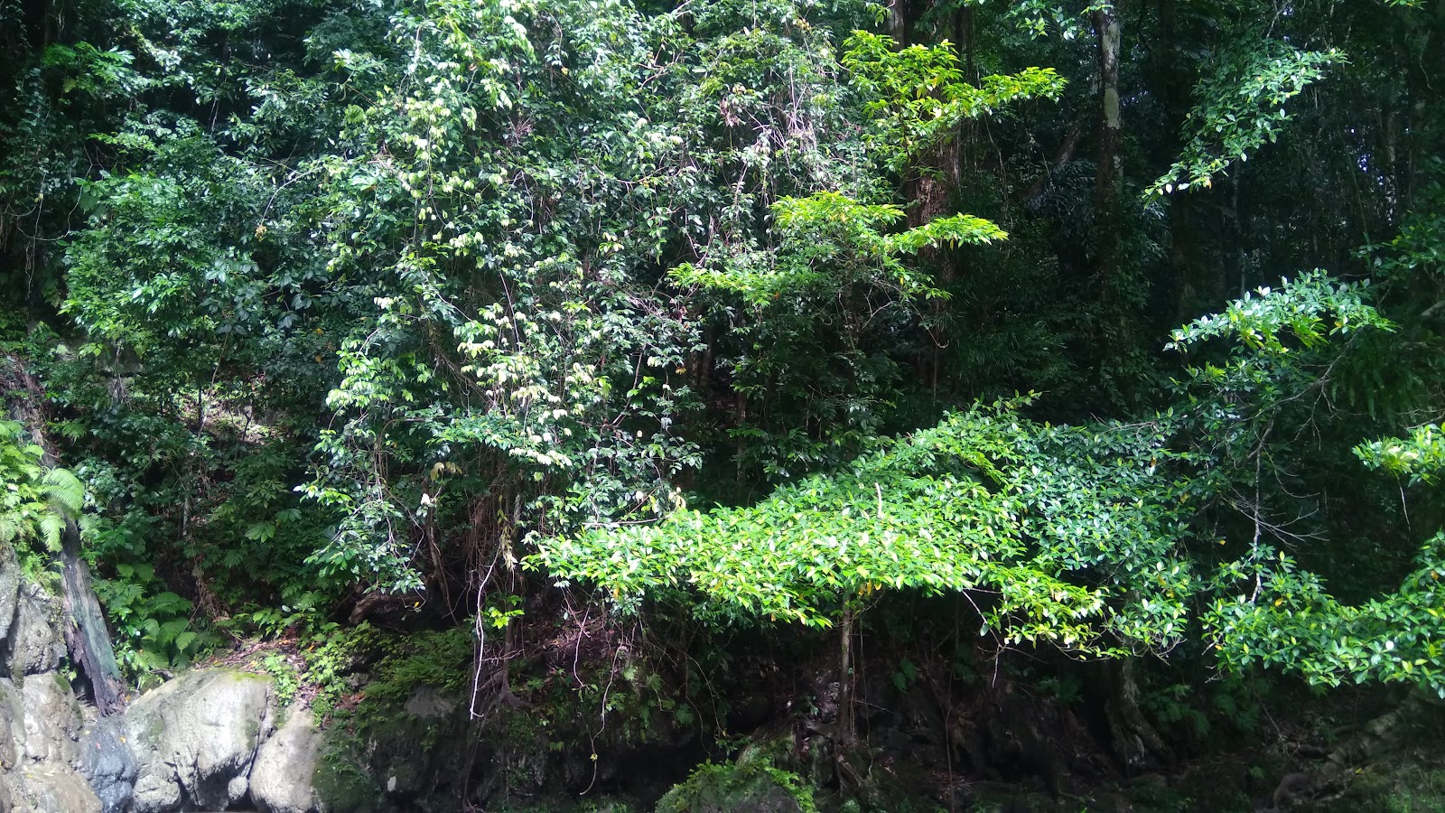 Whisper Wave Waterfall