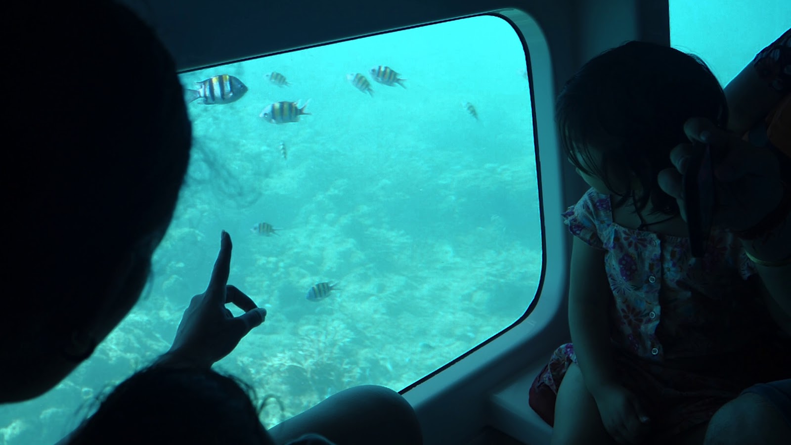 Coral Reef Exploration