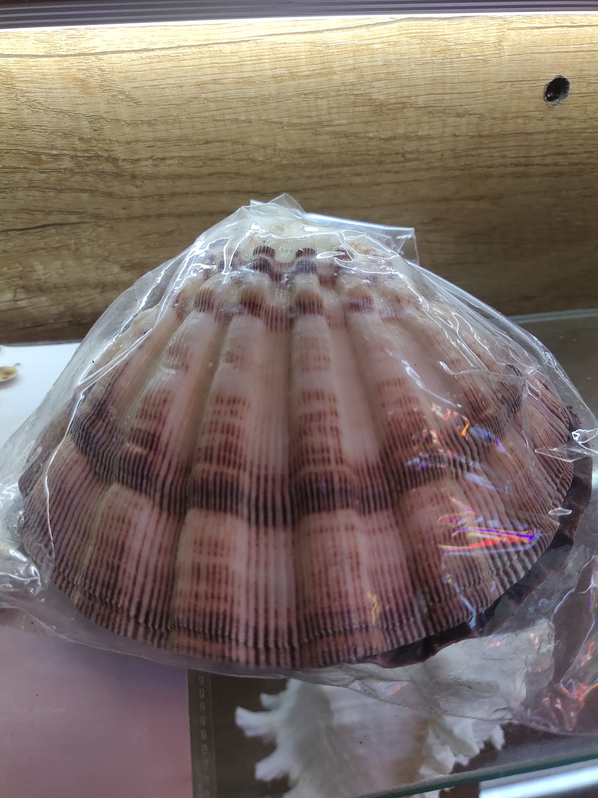 Local Craft Workshops