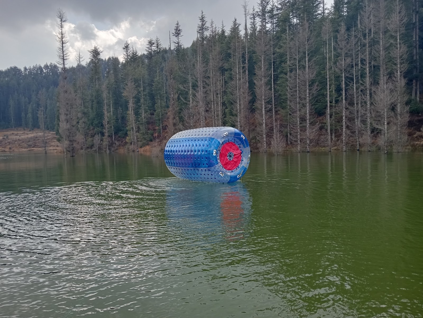 Lohaghat Nature Park