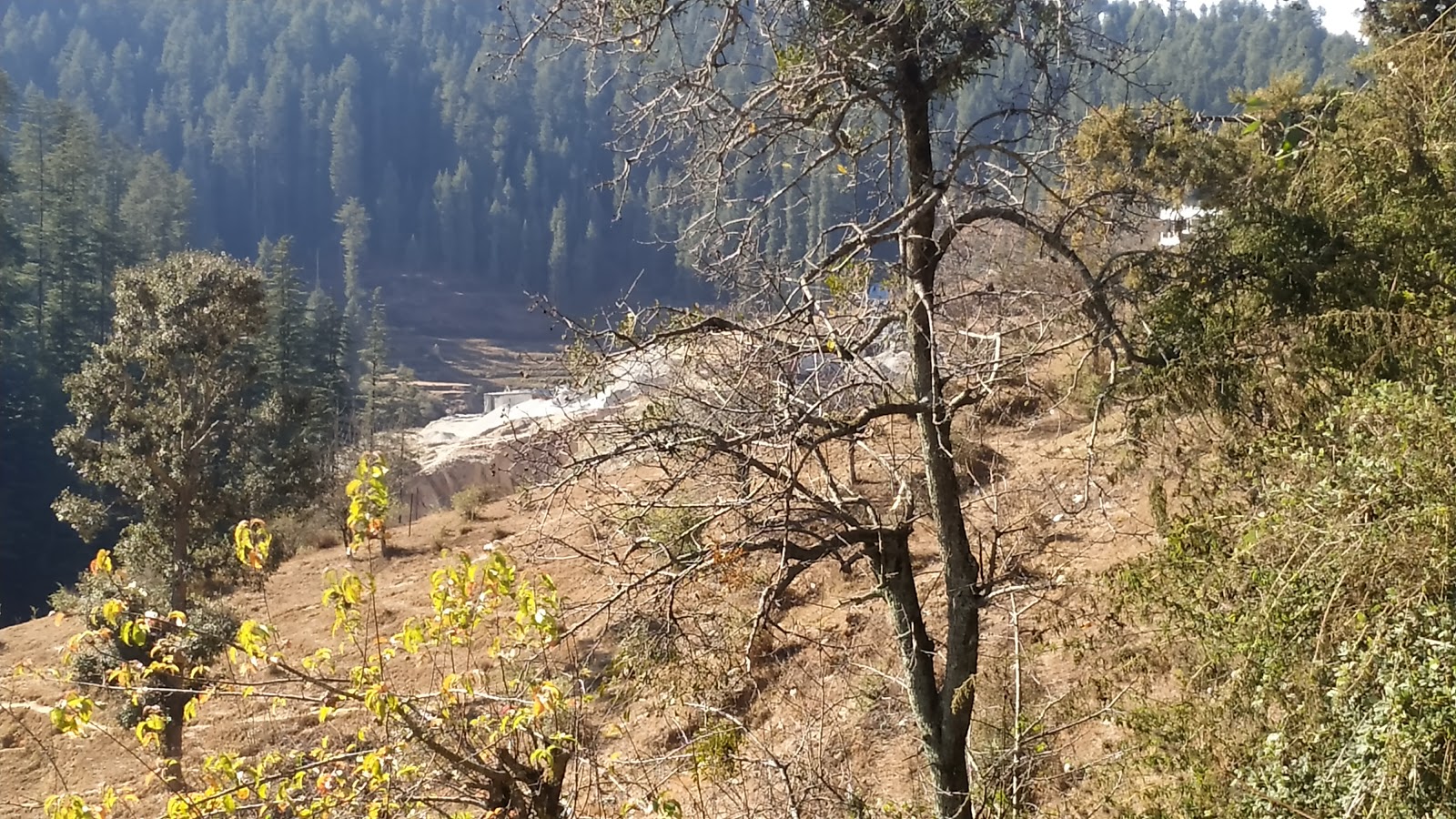 Lohaghat Nature Park