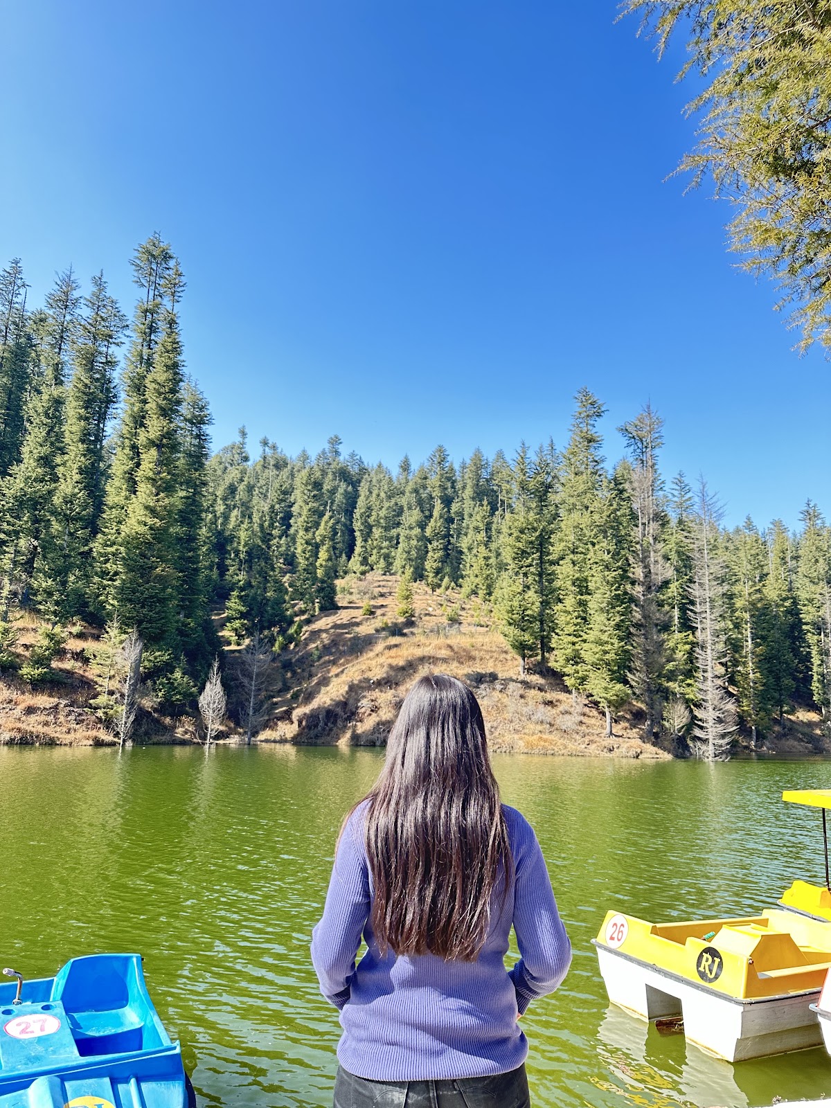 Lohaghat Nature Park