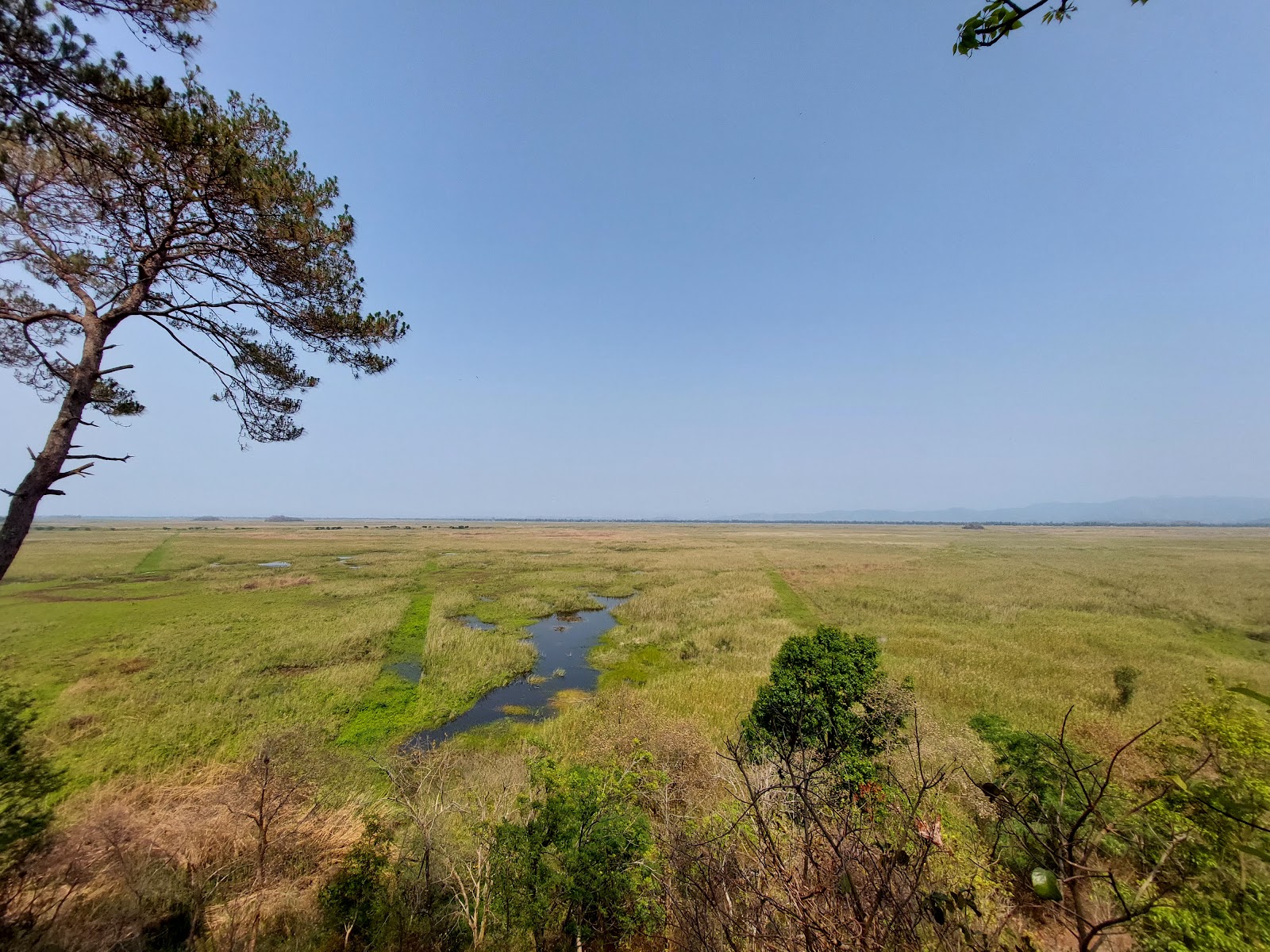 Keibul Lamjao National Park