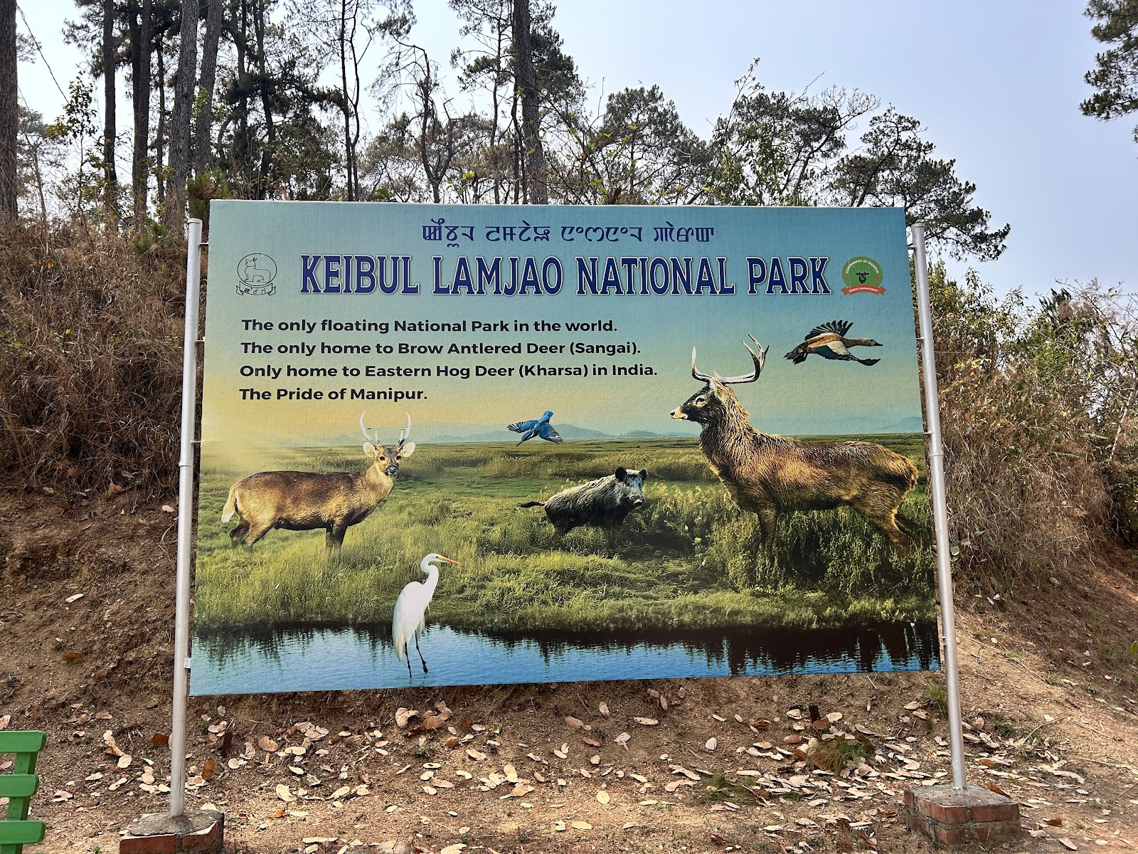 Keibul Lamjao National Park