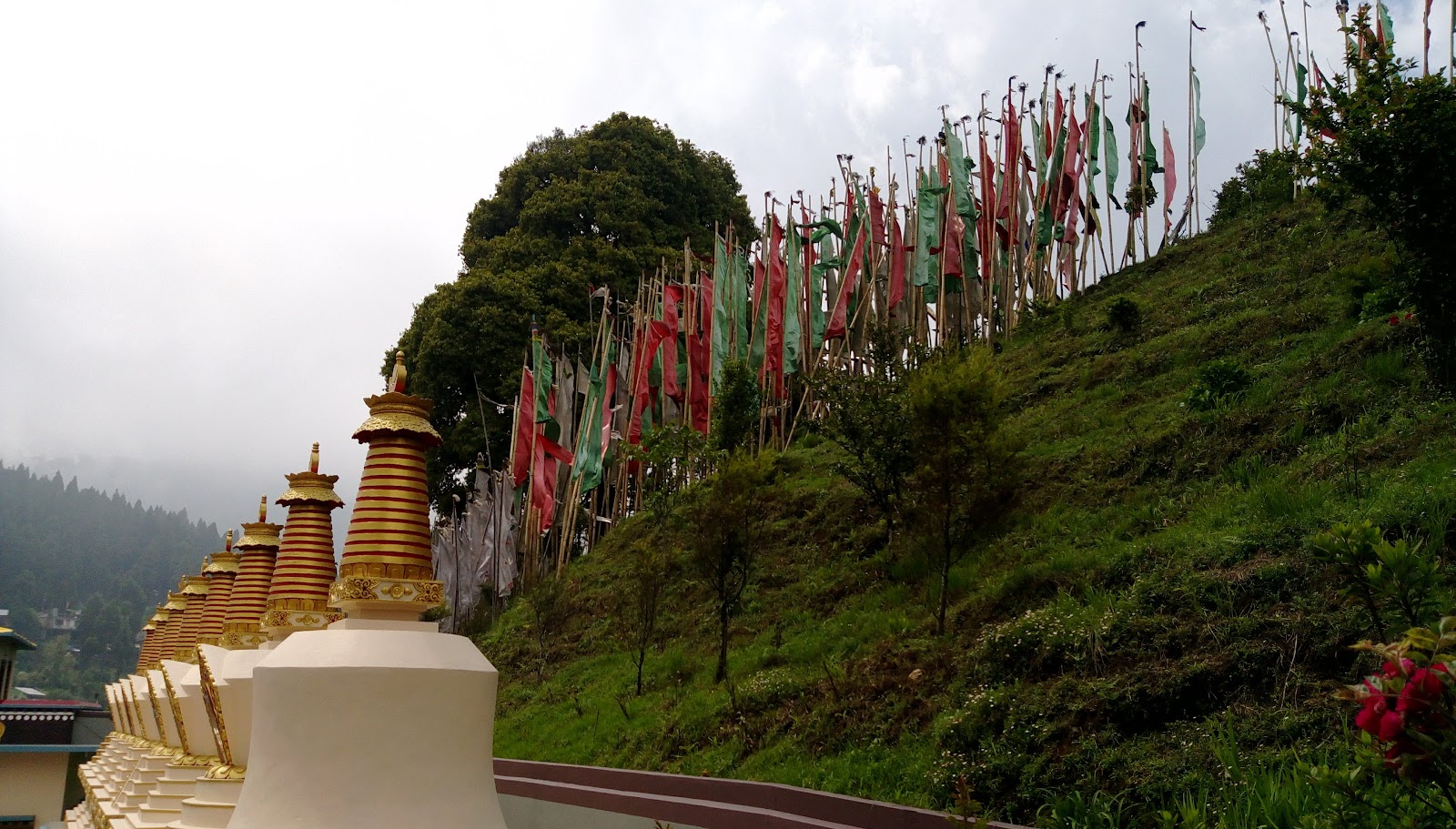 Neora Valley National Park