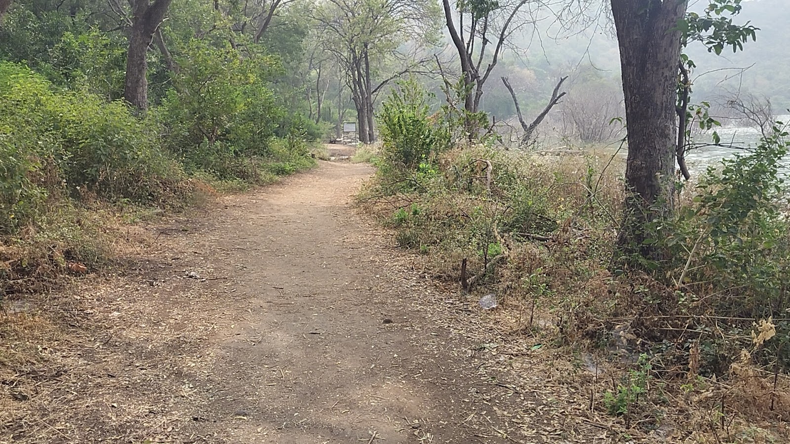 Ancient Rock Paintings