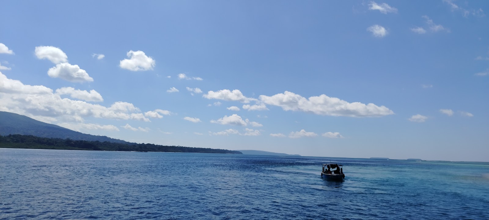 Coral Viewing Points