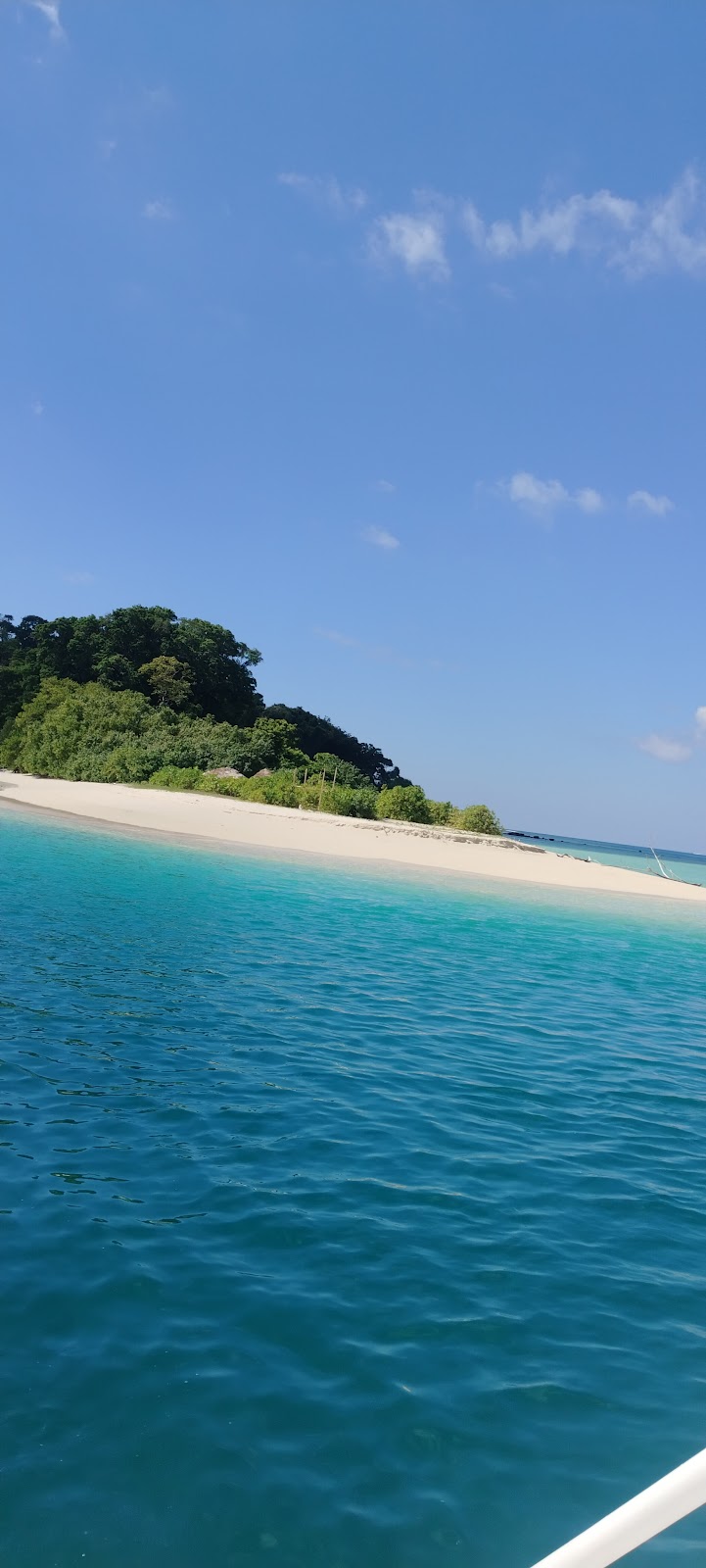 Coral Viewing Points