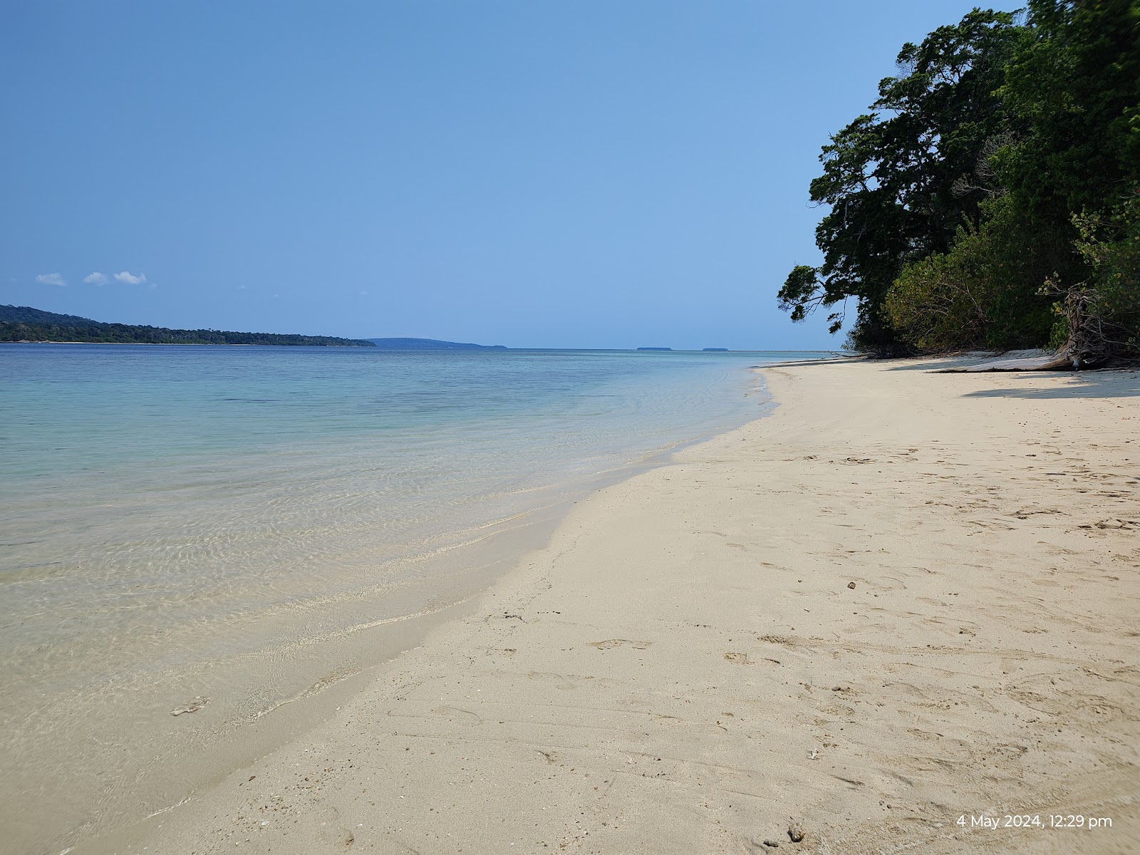 Coral Viewing Points