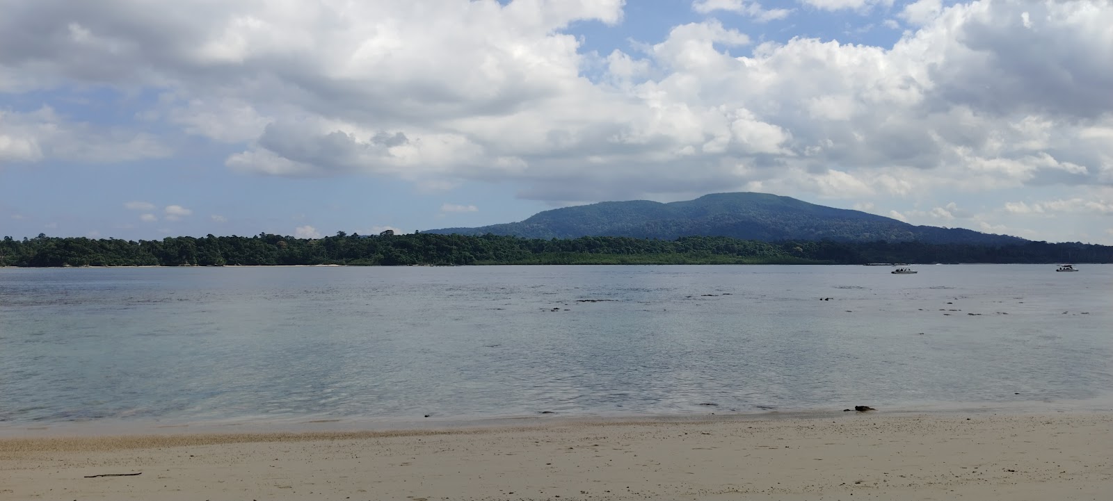 Coral Viewing Points