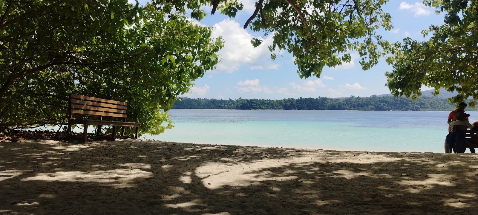 Coral Viewing Points