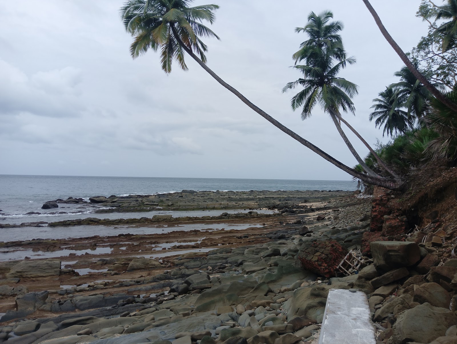 Sea Cliffs Viewpoint