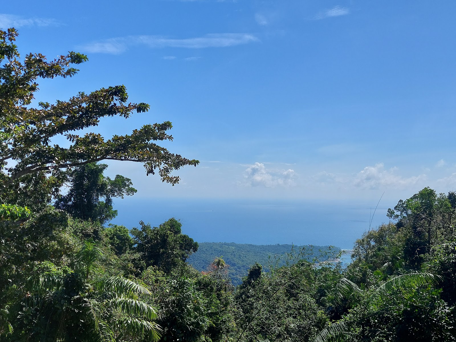 Sea Cliffs Viewpoint