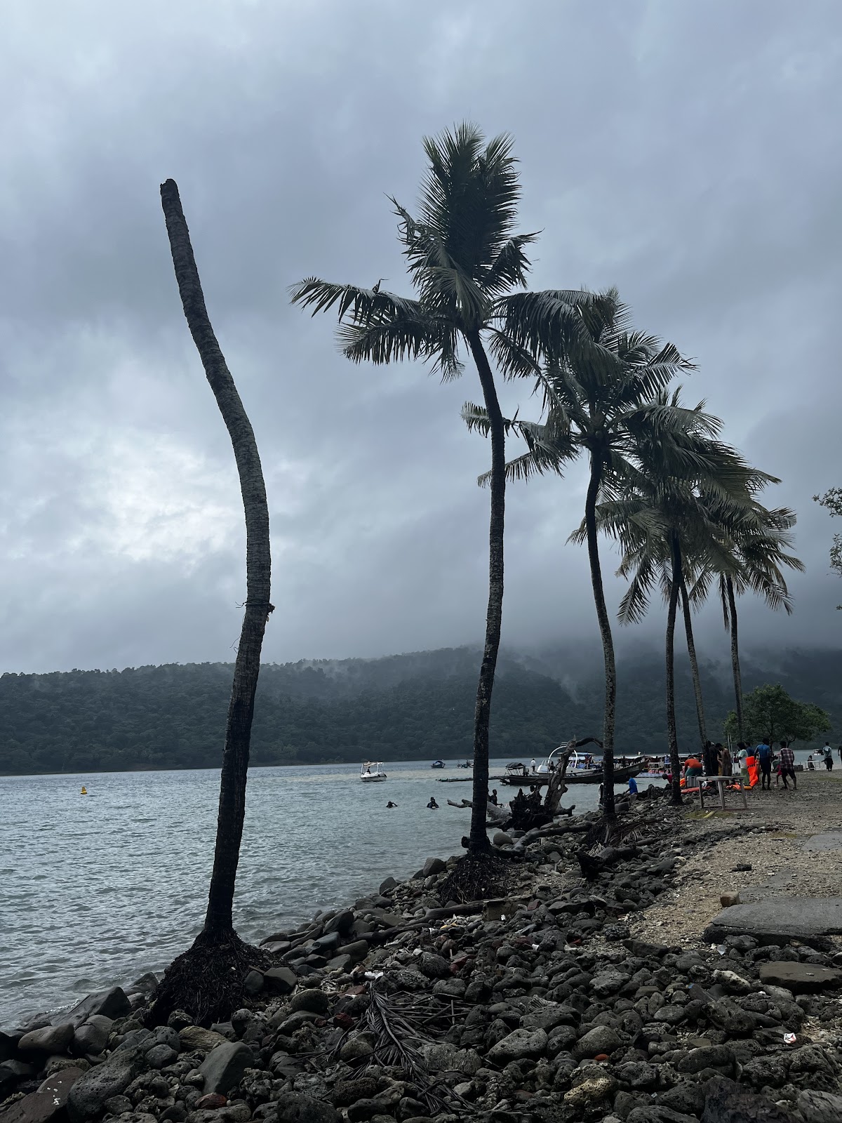 Sea Cliffs Viewpoint