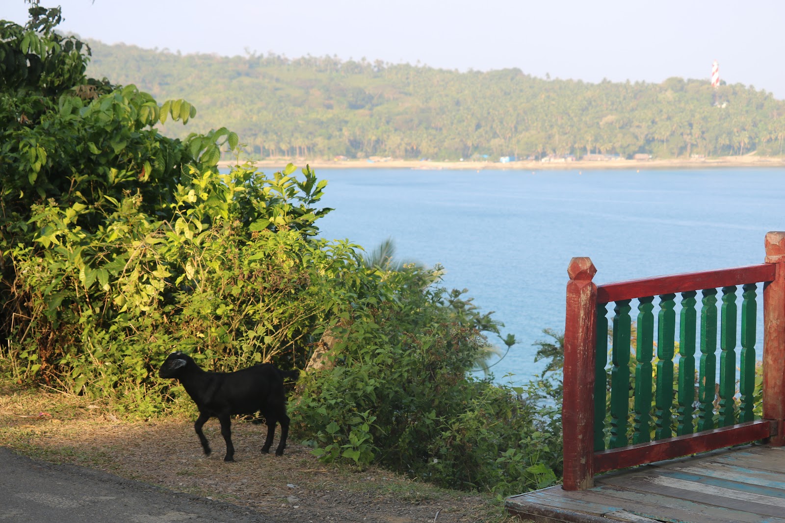 Sea Cliffs Viewpoint