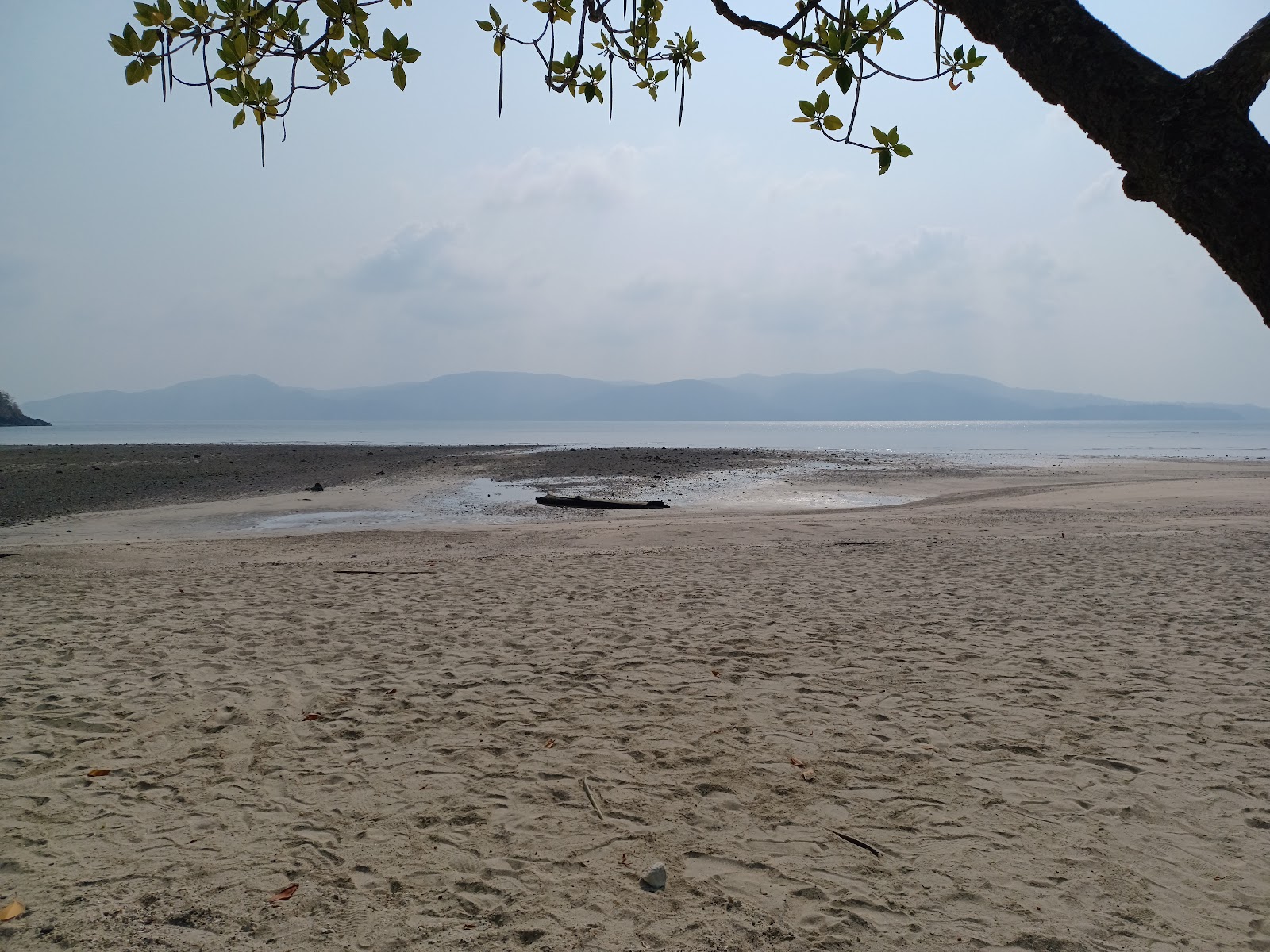 Turtle Nesting Spots