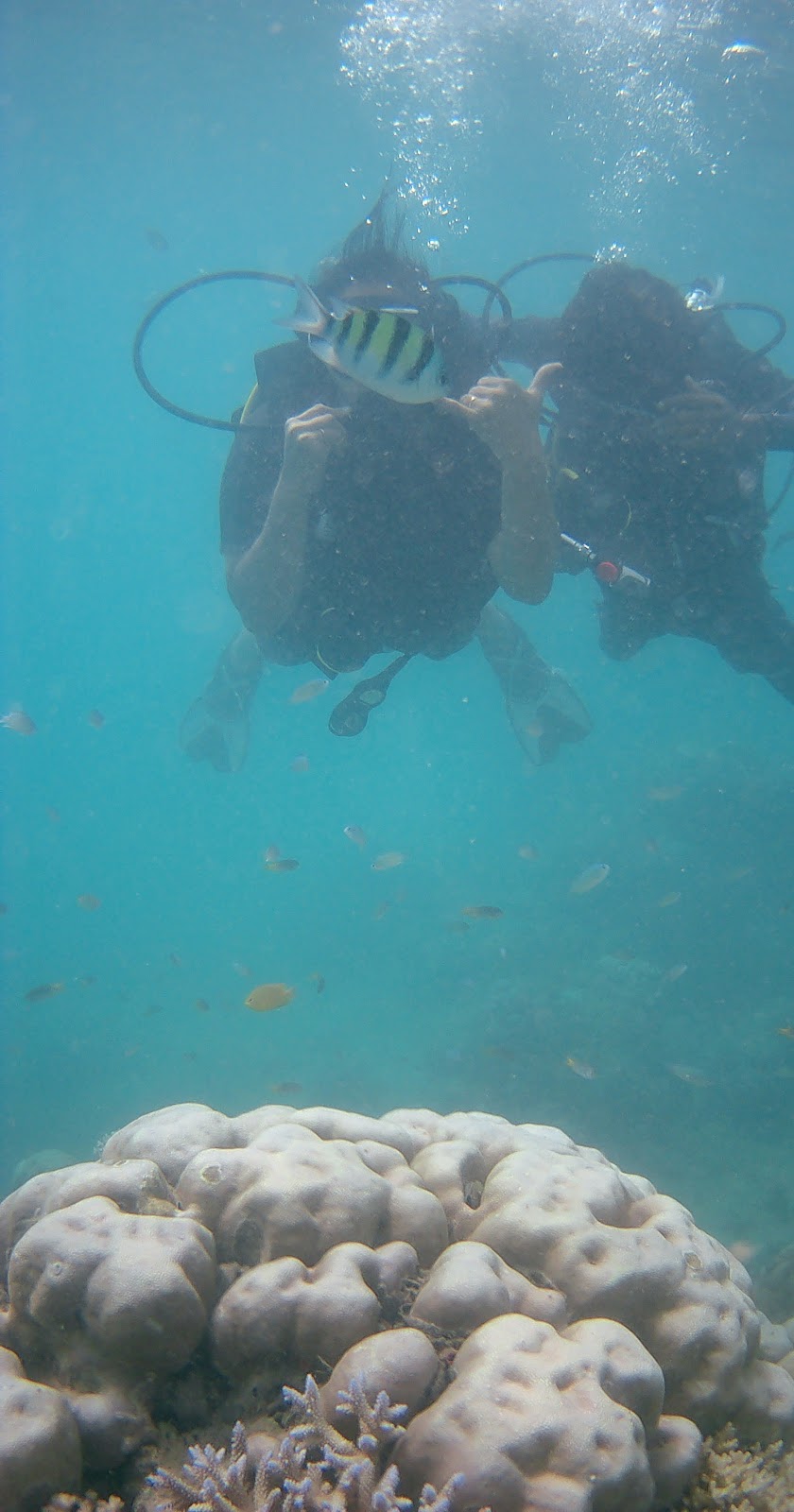 Coral Reef Exploration