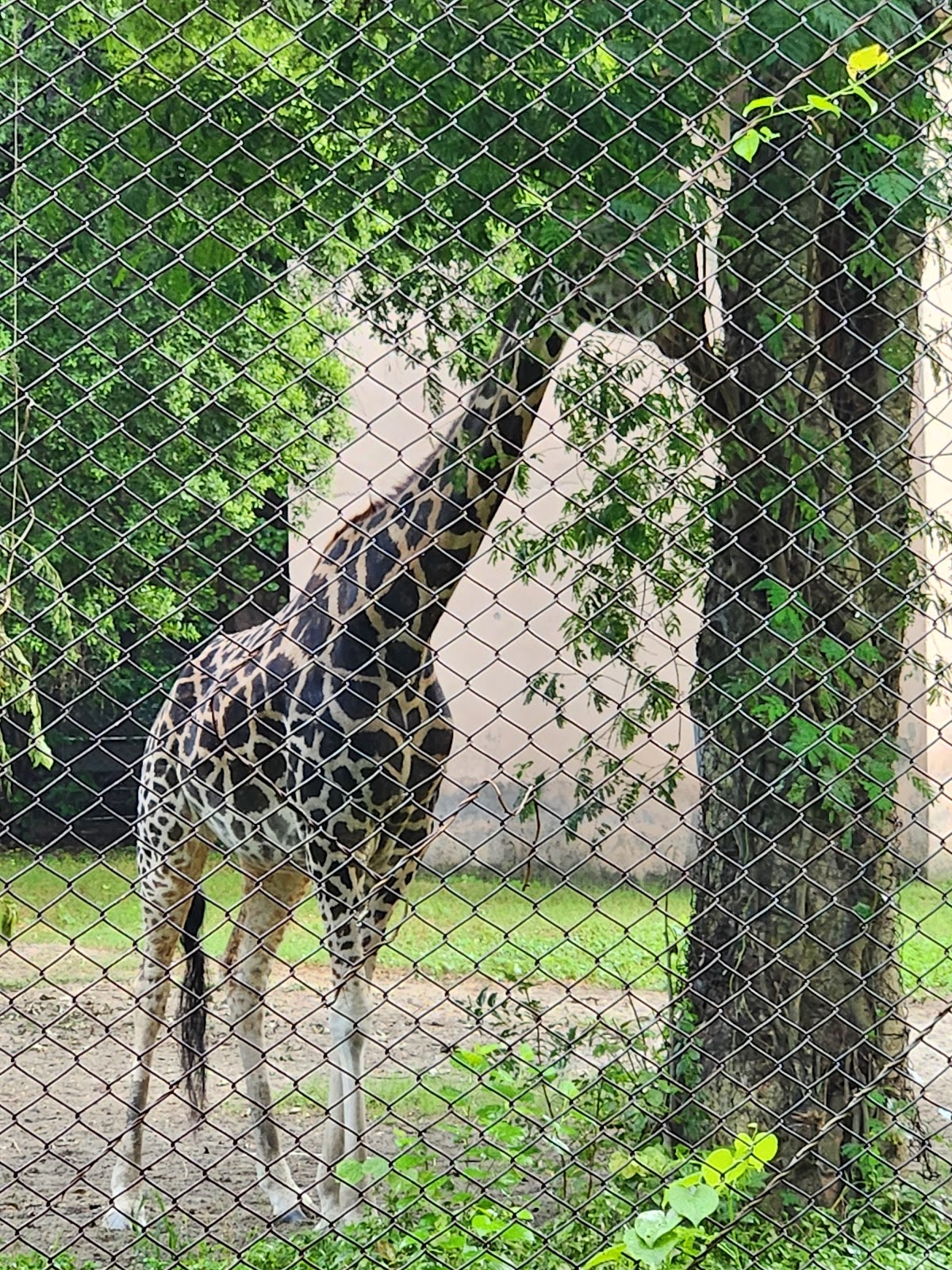 Lucknow Zoo