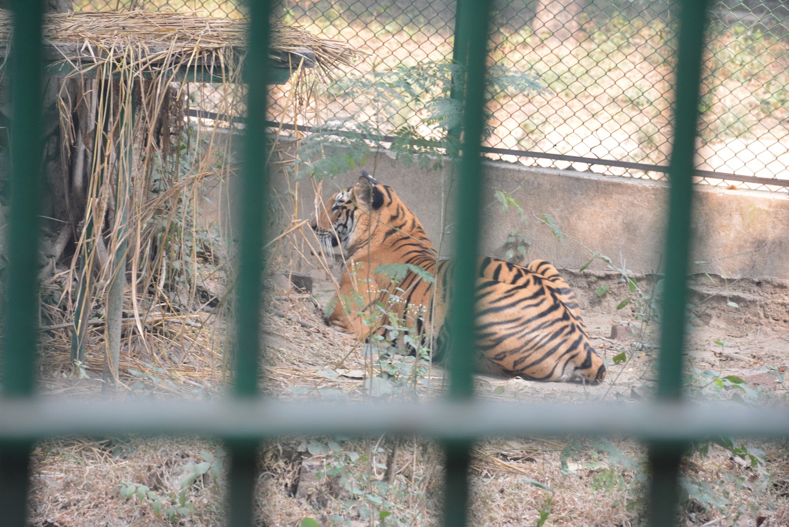 Nawab Wajid Ali Shah Zoological Garden