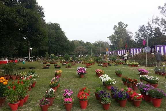 Nehru Rose Garden