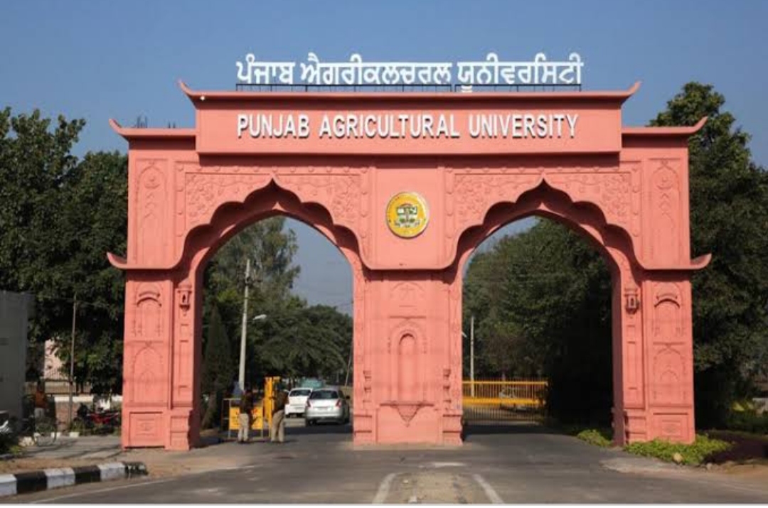 Ludhiana Rural - A Cultural Journey in Punjab