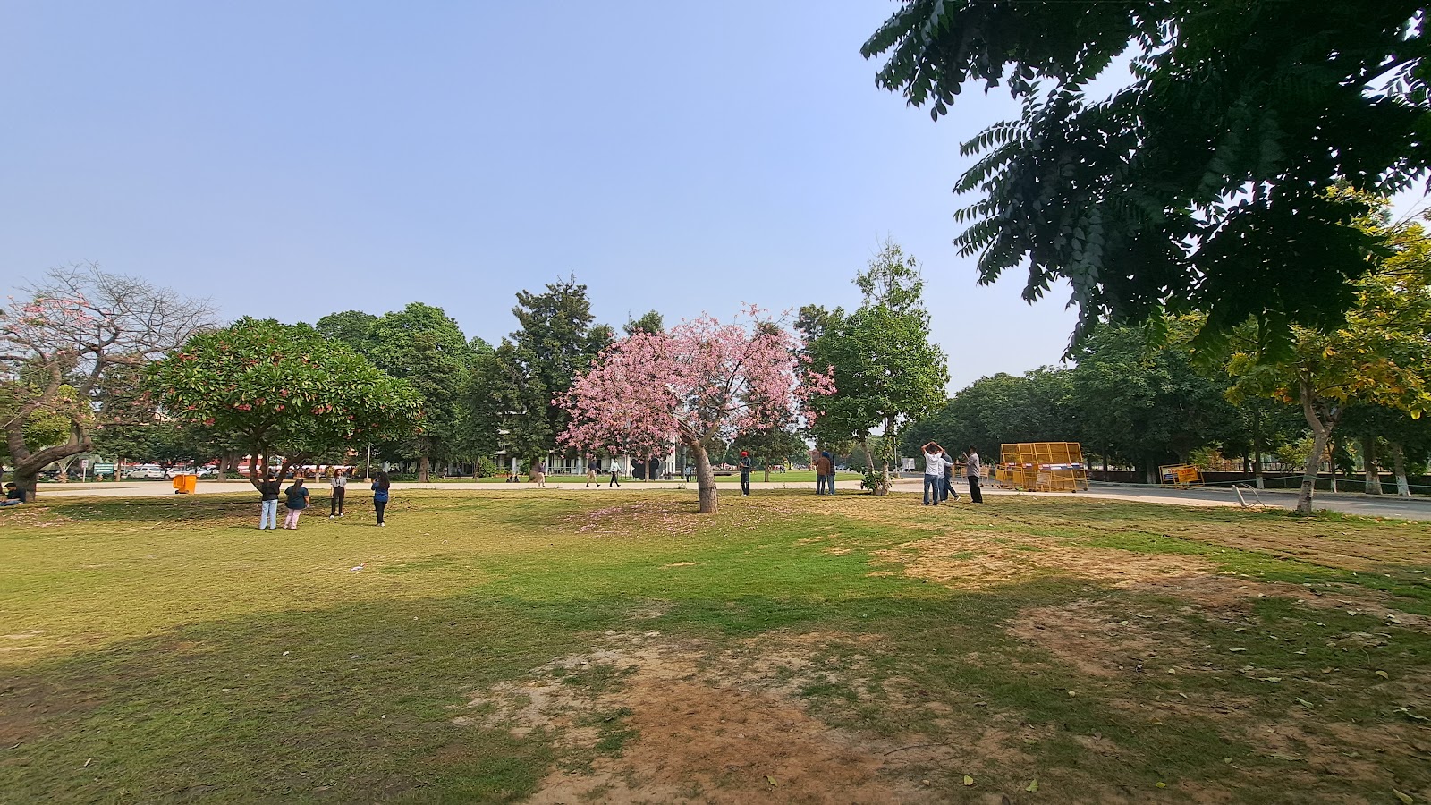 Punjab Agricultural University