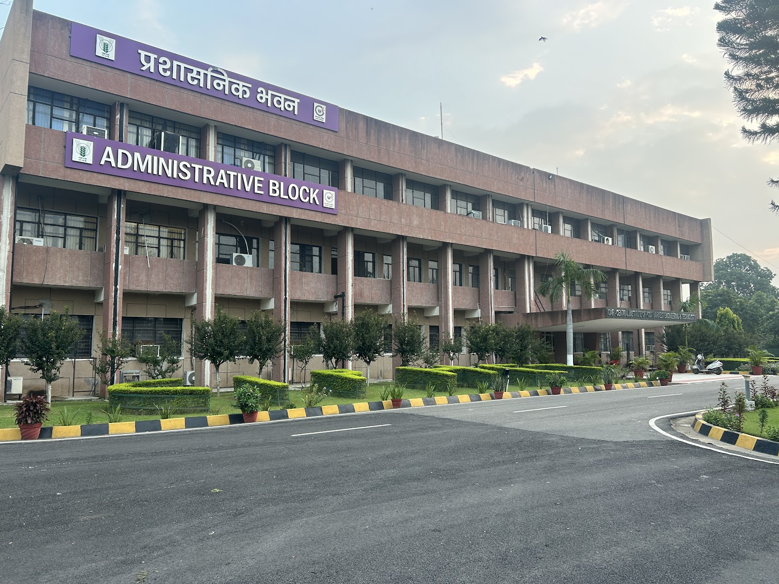 Punjab Agricultural University