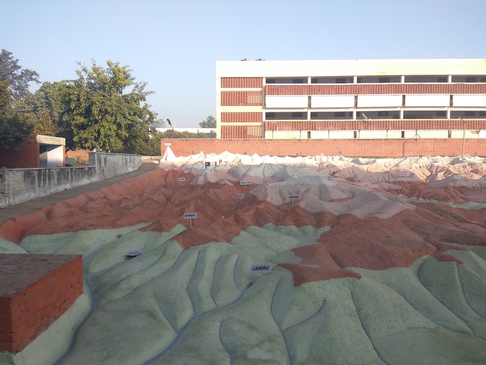 Punjab Agricultural University