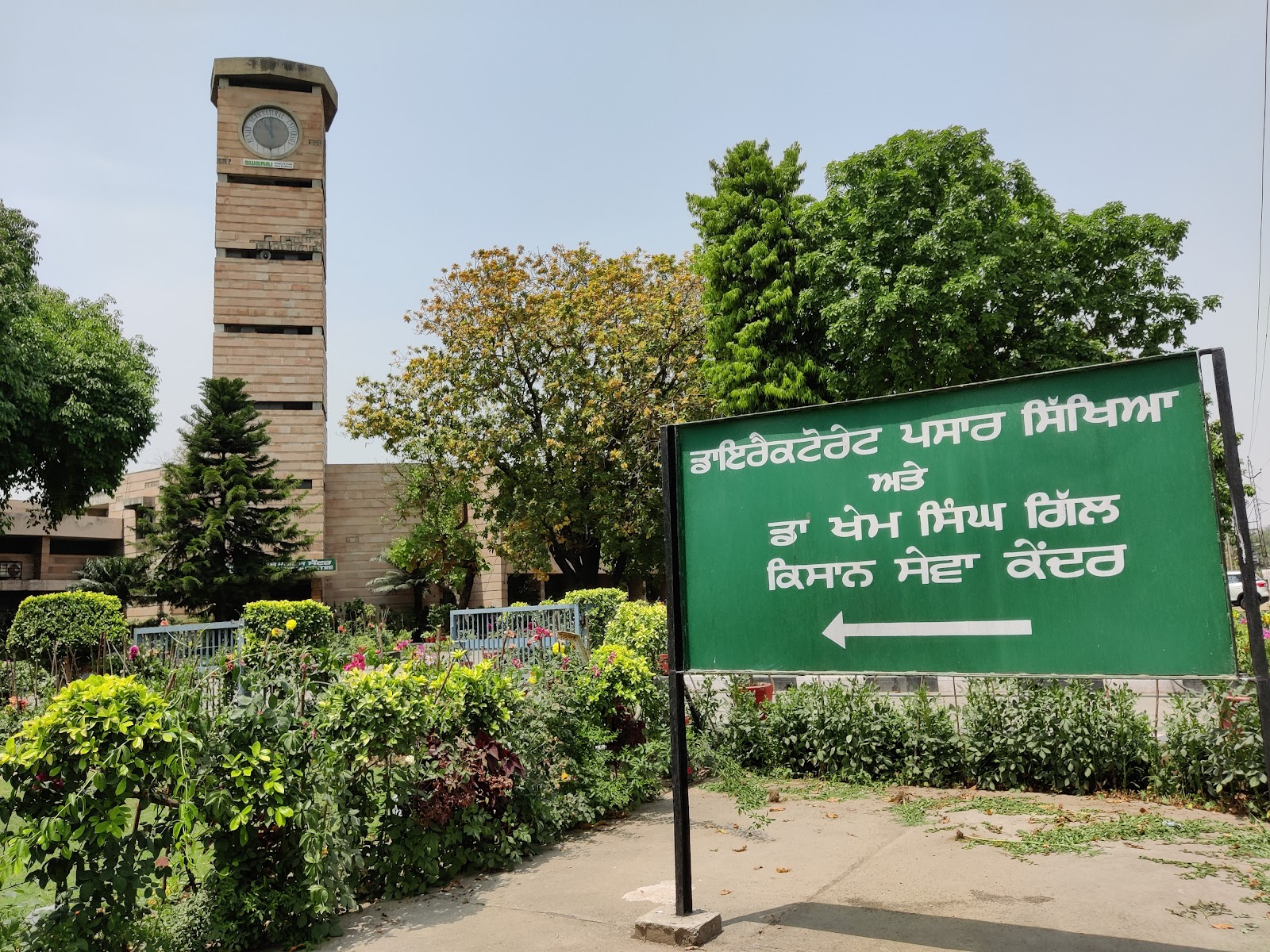 Punjab Agricultural University