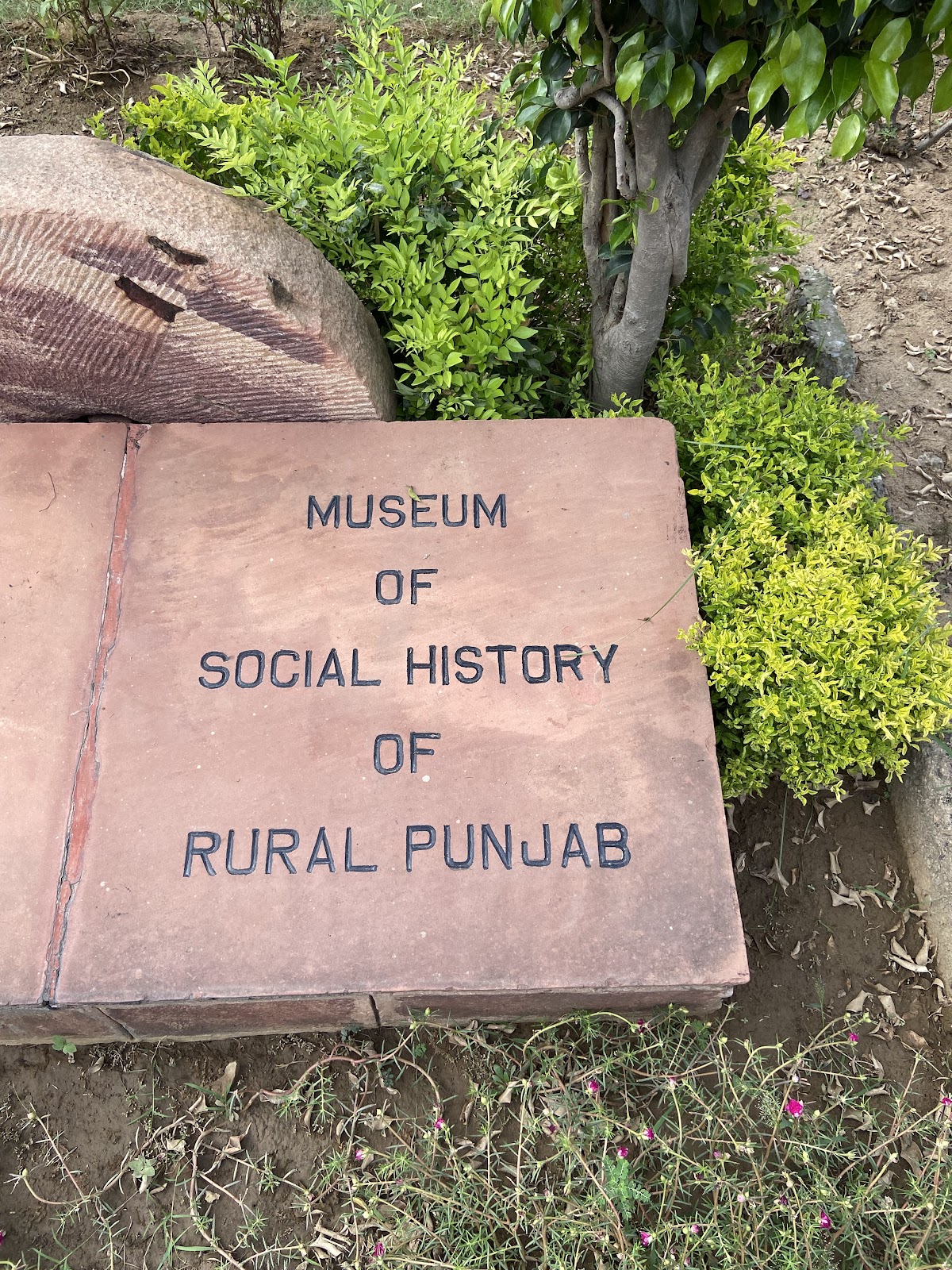 Punjab Agricultural University Museum