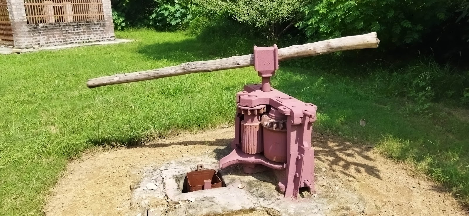 Punjab Agricultural University Museum