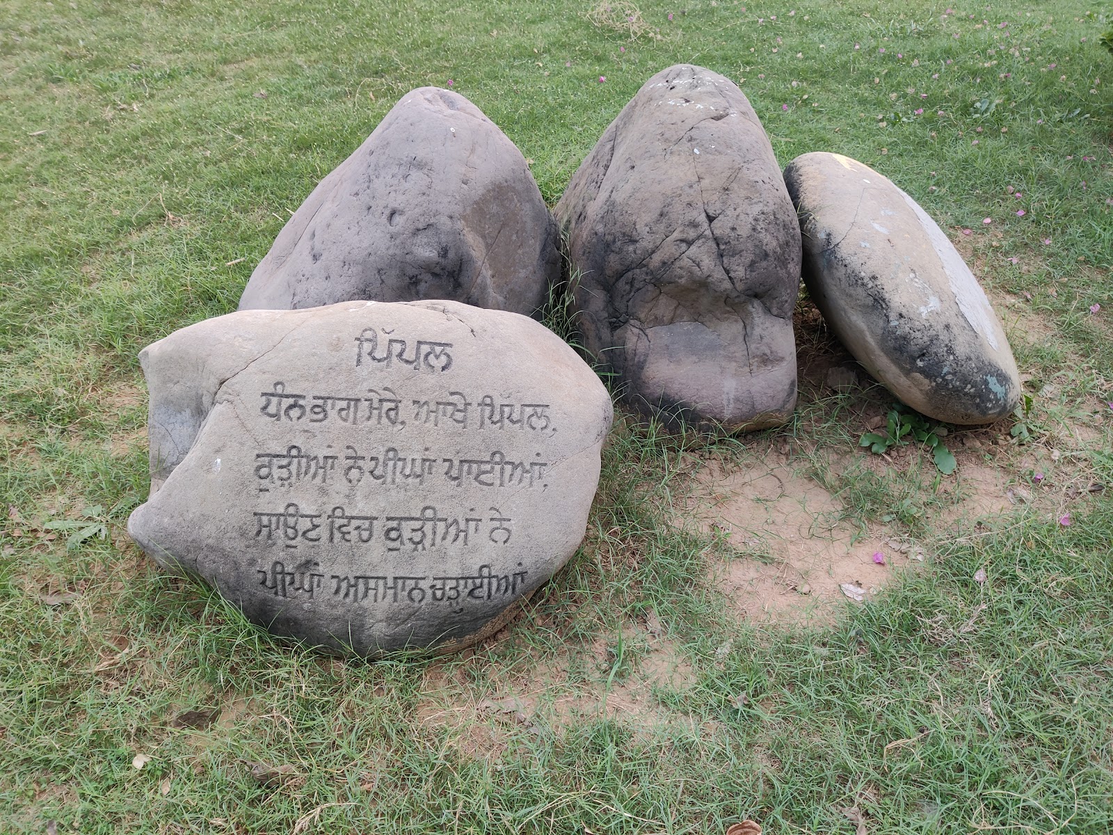 Punjab Agricultural University Museum