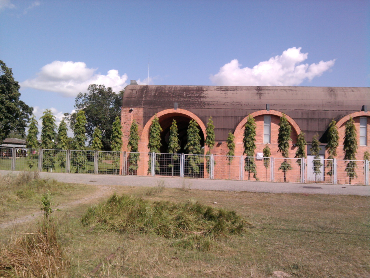 Lumbini International Research Institute