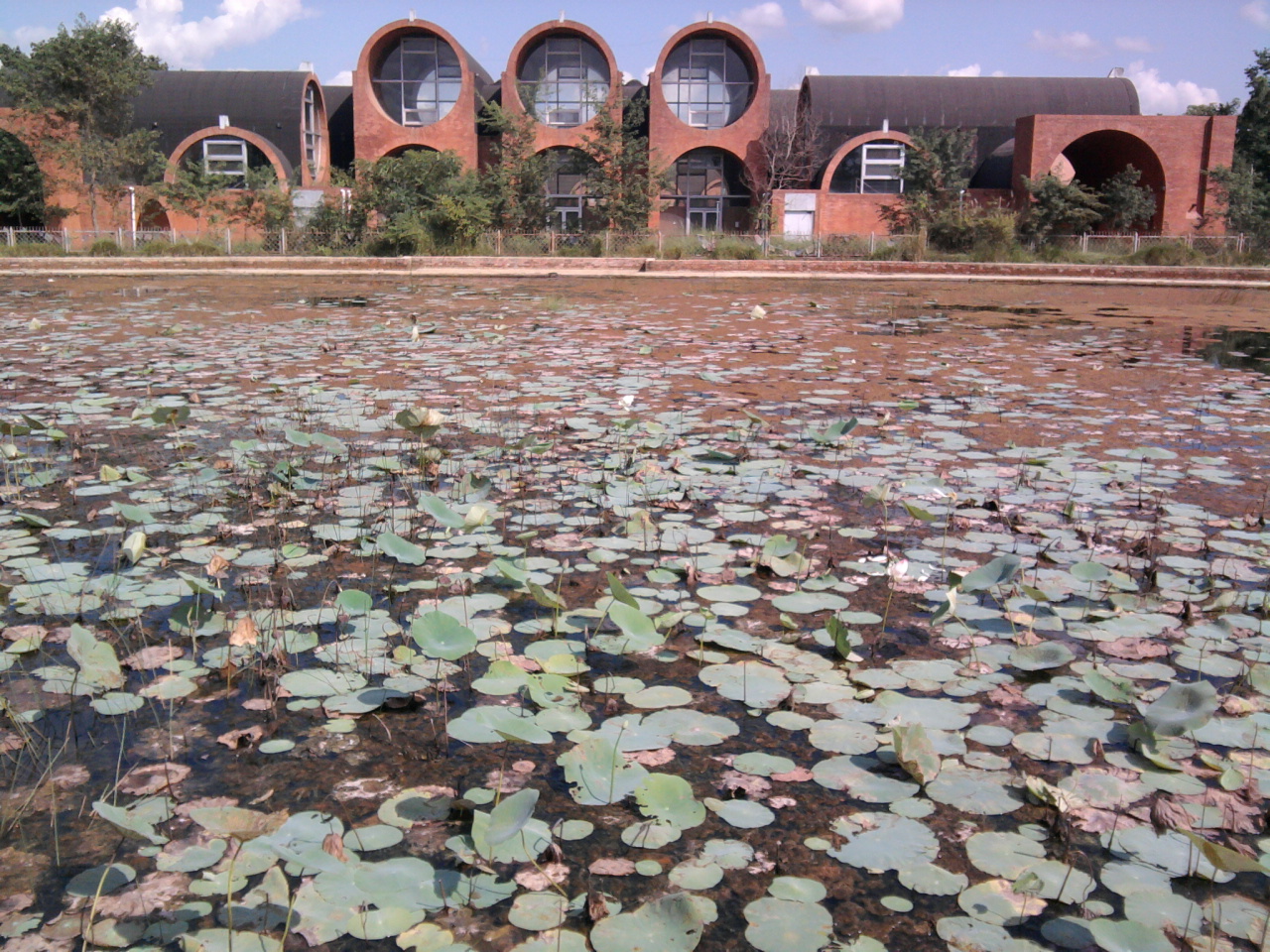Lumbini International Research Institute