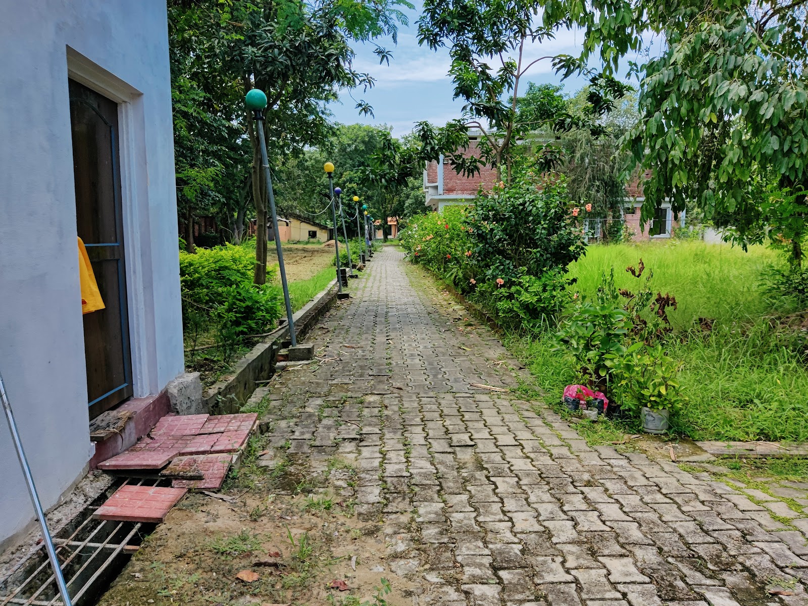 Lumbini's Meditation Center