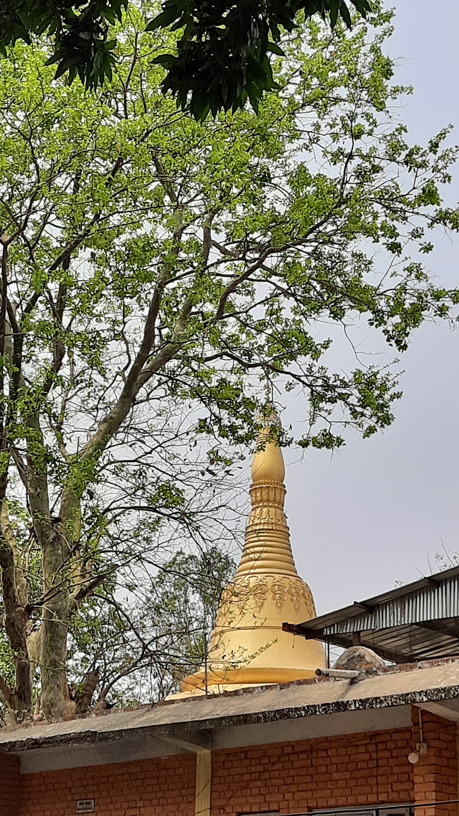 Lumbini's Meditation Center